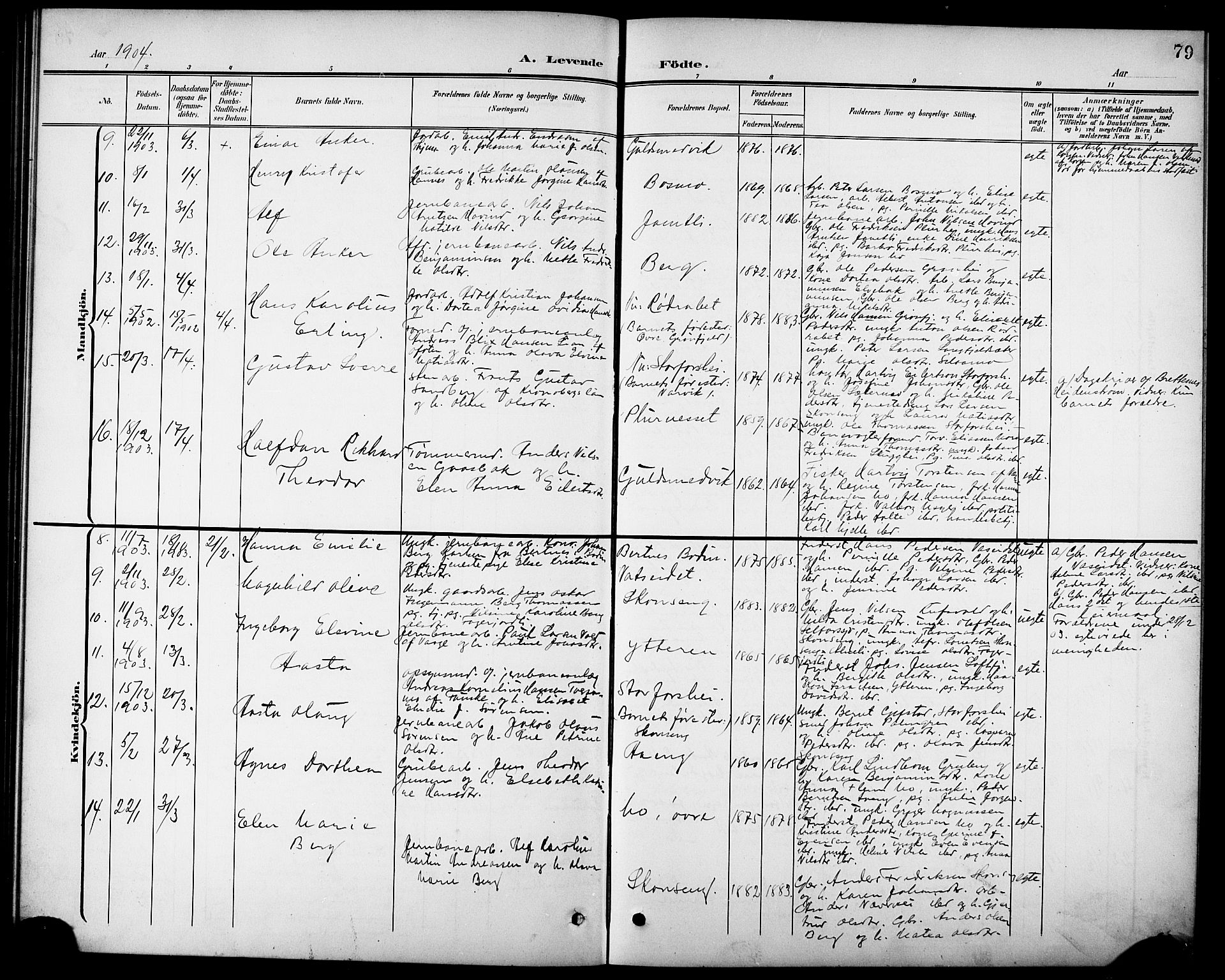 Ministerialprotokoller, klokkerbøker og fødselsregistre - Nordland, AV/SAT-A-1459/827/L0422: Parish register (copy) no. 827C11, 1899-1912, p. 79