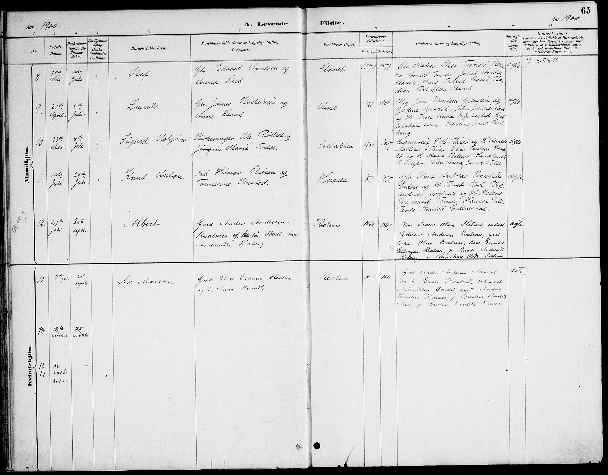 Ministerialprotokoller, klokkerbøker og fødselsregistre - Møre og Romsdal, AV/SAT-A-1454/565/L0750: Parish register (official) no. 565A04, 1887-1905, p. 65