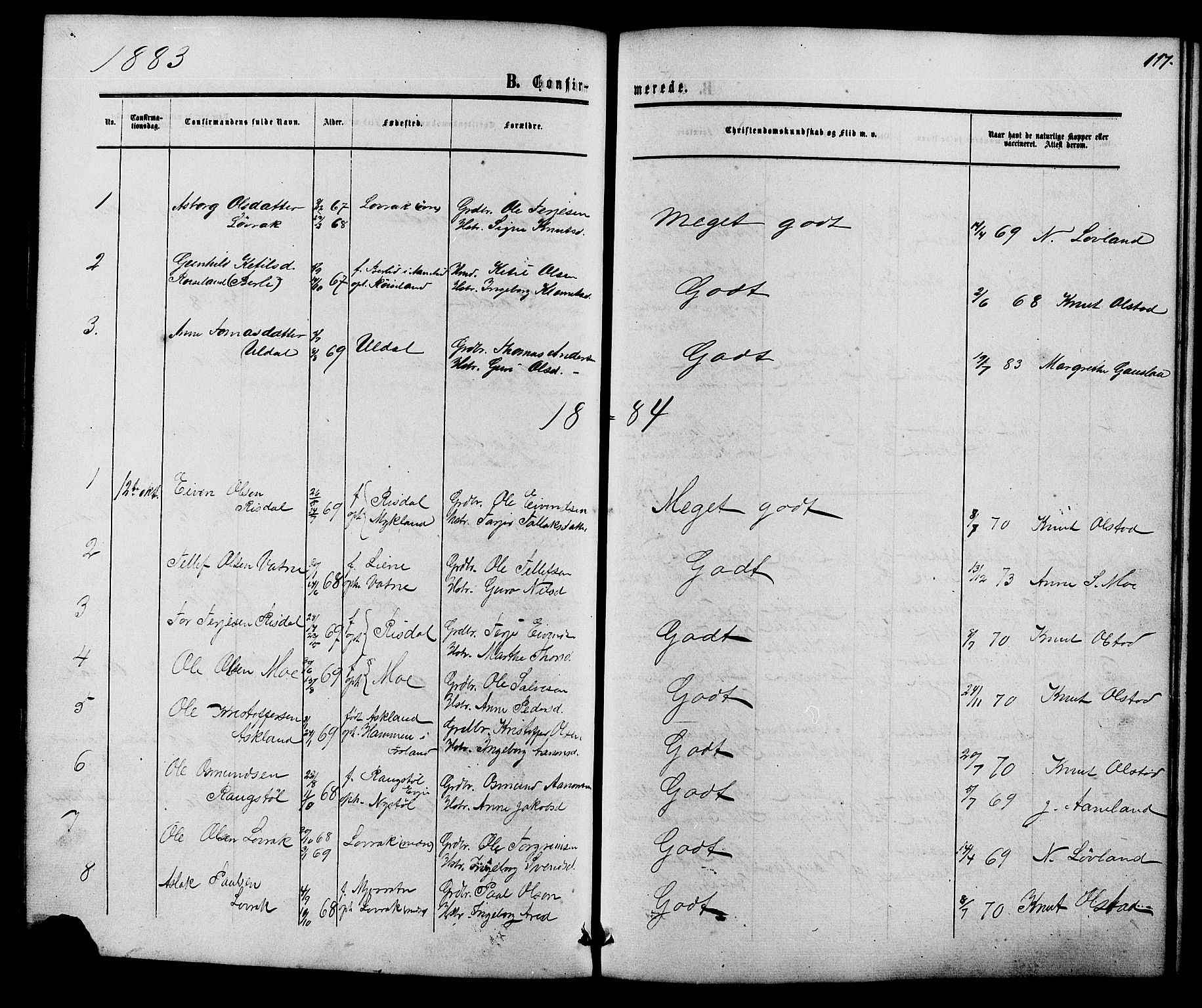 Herefoss sokneprestkontor, SAK/1111-0019/F/Fb/Fbc/L0002: Parish register (copy) no. B 2, 1867-1886, p. 117