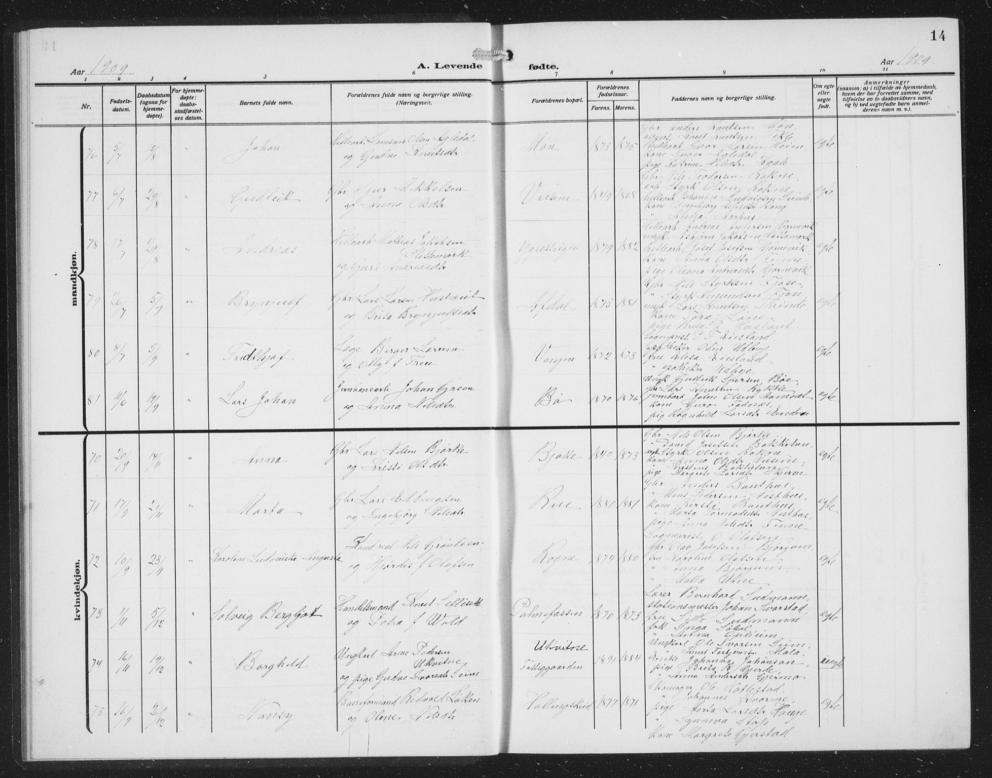 Voss sokneprestembete, AV/SAB-A-79001/H/Hab: Parish register (copy) no. C 3, 1909-1920, p. 14