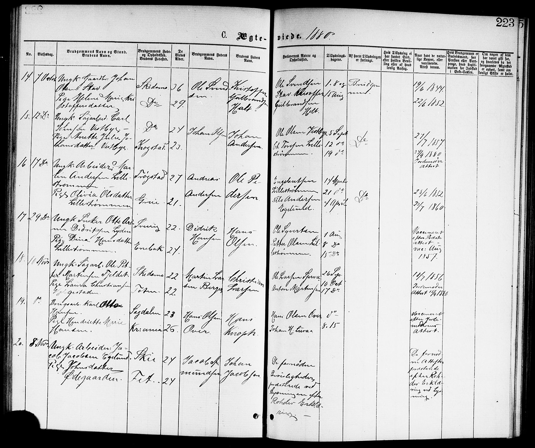 Skedsmo prestekontor Kirkebøker, SAO/A-10033a/G/Ga/L0003: Parish register (copy) no. I 3, 1873-1882, p. 223
