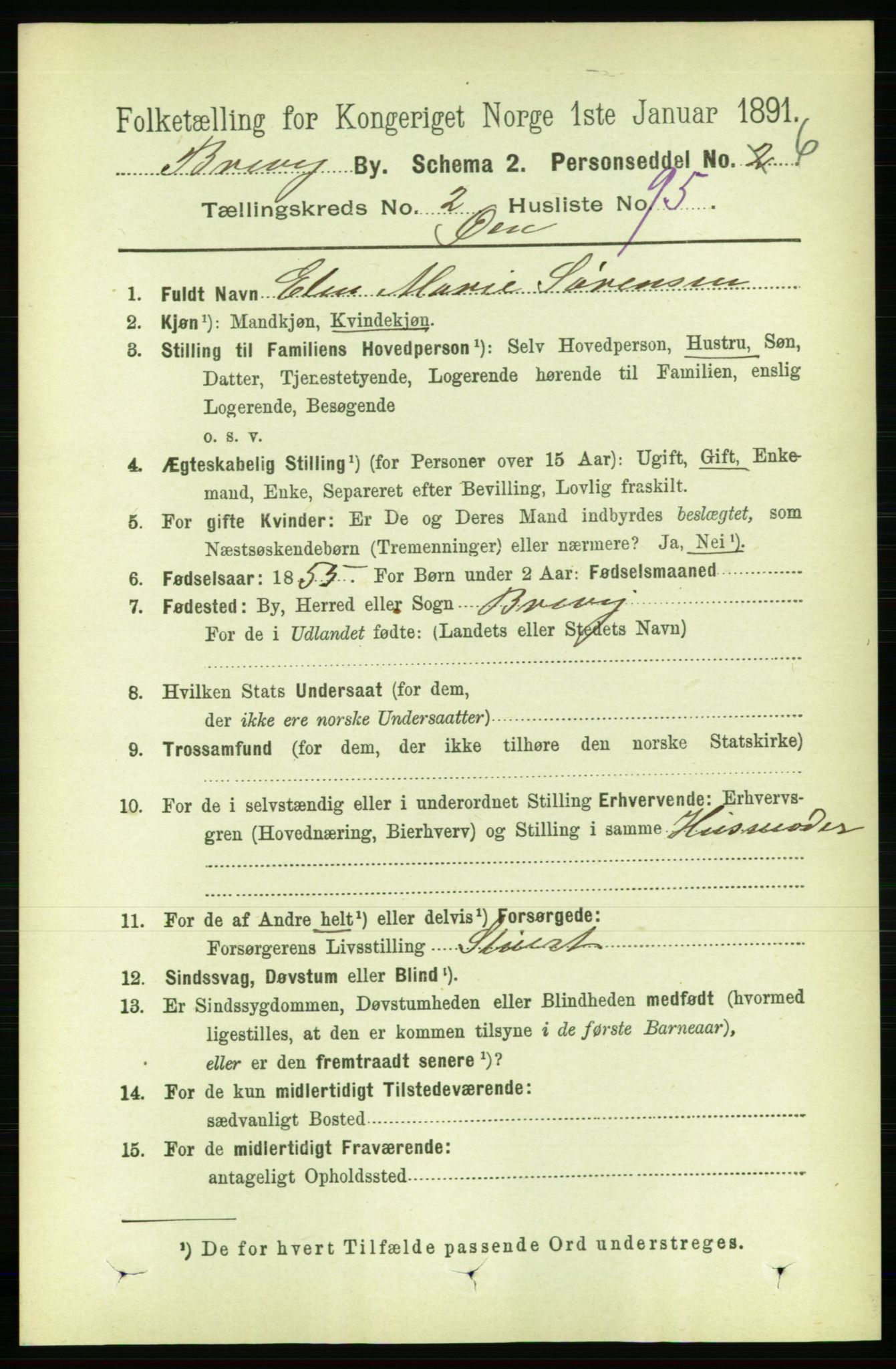 RA, 1891 census for 0804 Brevik, 1891, p. 2145