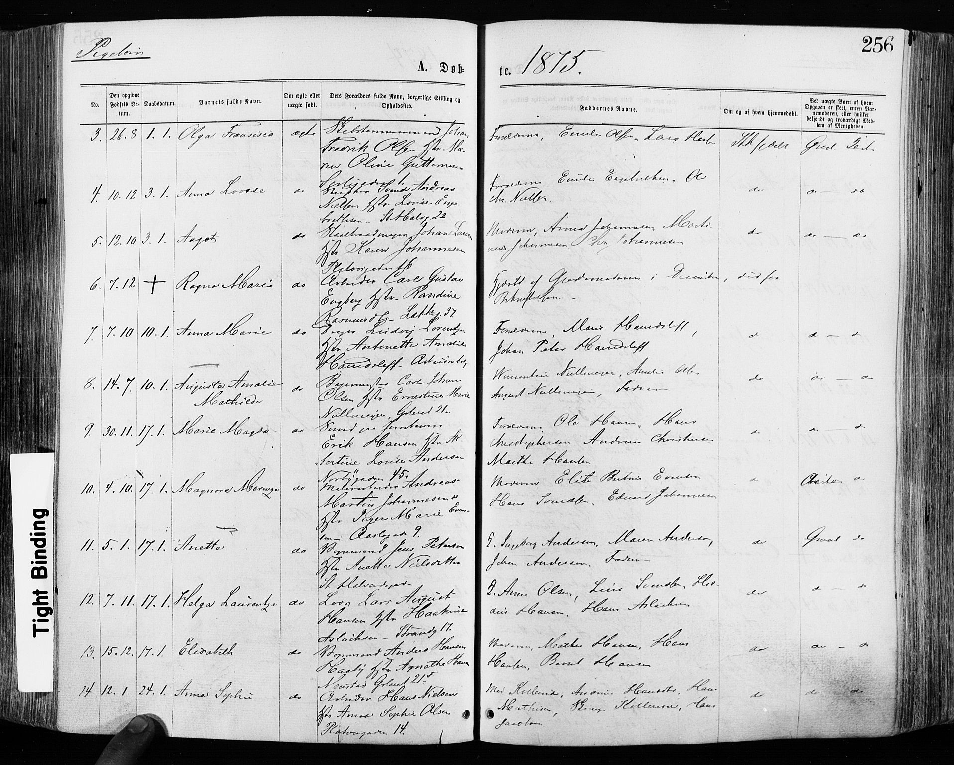 Grønland prestekontor Kirkebøker, SAO/A-10848/F/Fa/L0004: Parish register (official) no. 4, 1869-1880, p. 256