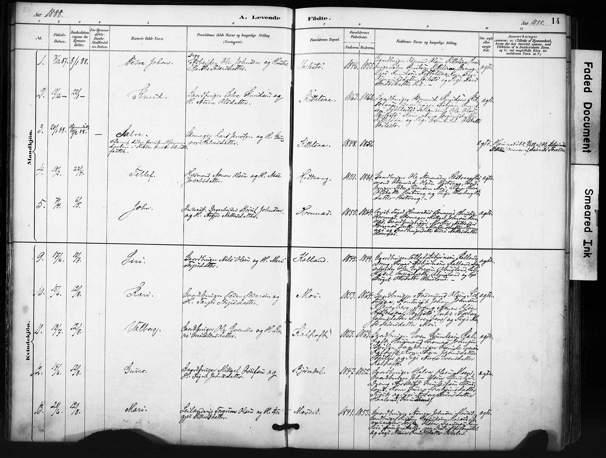 Evje sokneprestkontor, SAK/1111-0008/F/Fa/Fab/L0003: Parish register (official) no. A 3, 1884-1909, p. 14