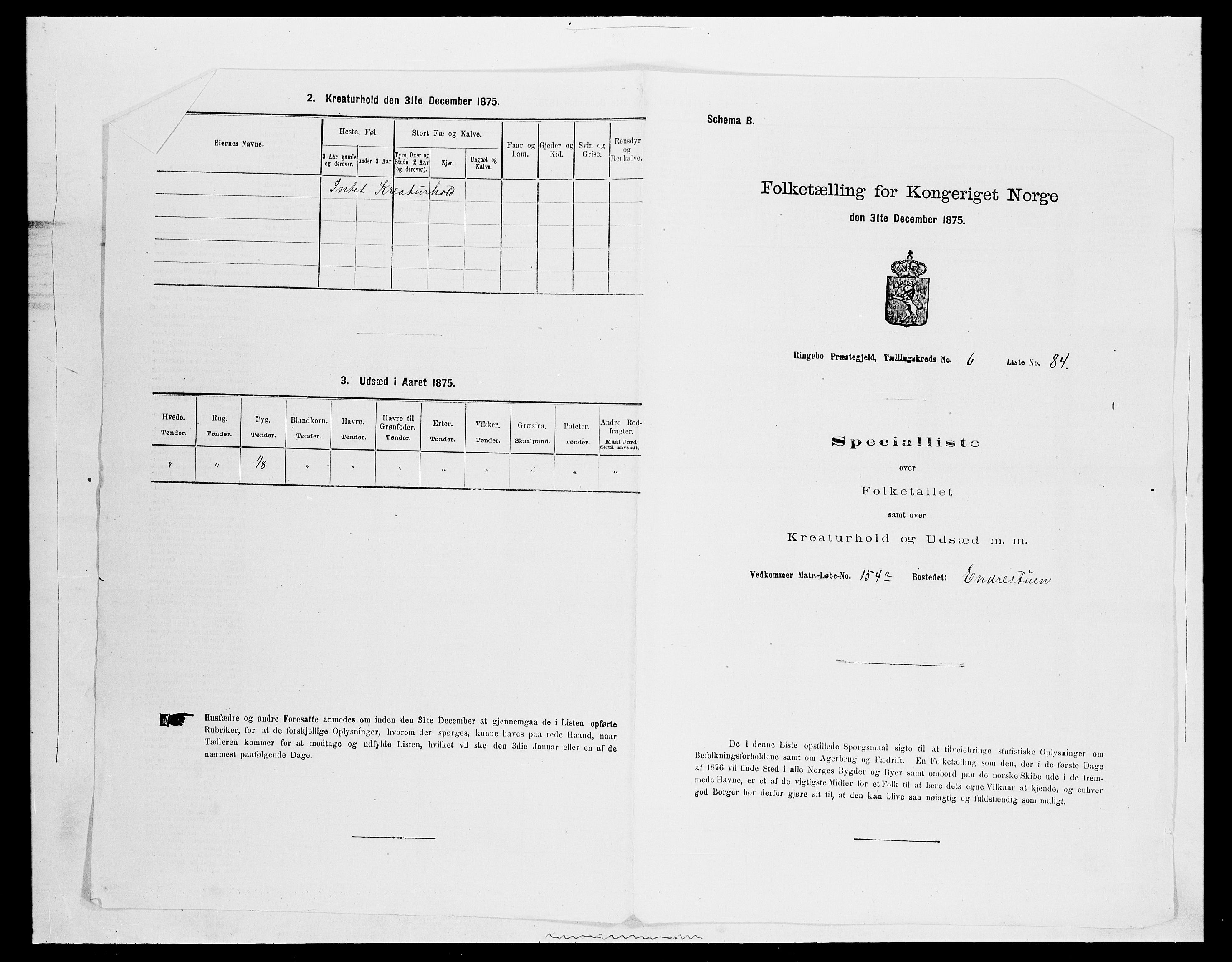 SAH, 1875 census for 0520P Ringebu, 1875, p. 1007