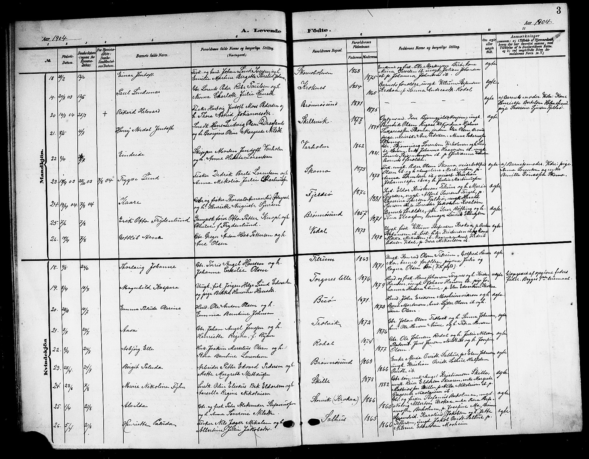 Ministerialprotokoller, klokkerbøker og fødselsregistre - Nordland, SAT/A-1459/813/L0214: Parish register (copy) no. 813C06, 1904-1917, p. 3