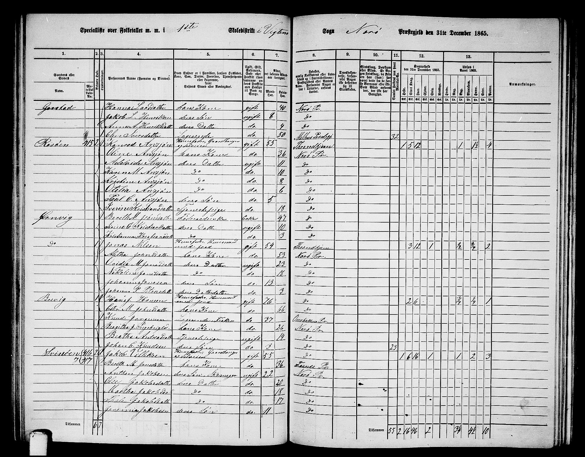 RA, 1865 census for Nærøy, 1865, p. 99