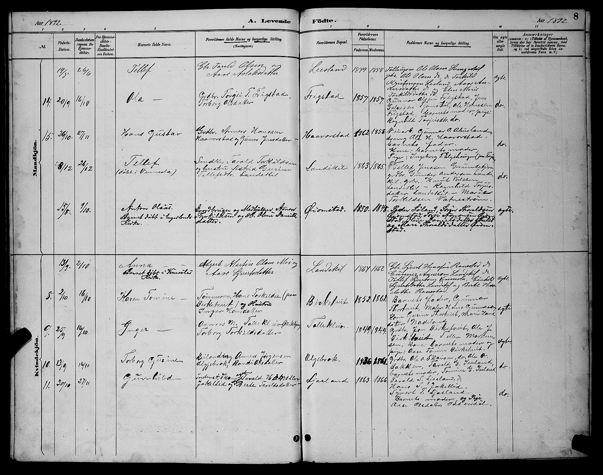 Evje sokneprestkontor, AV/SAK-1111-0008/F/Fb/Fbc/L0004: Parish register (copy) no. B 4, 1890-1900, p. 8