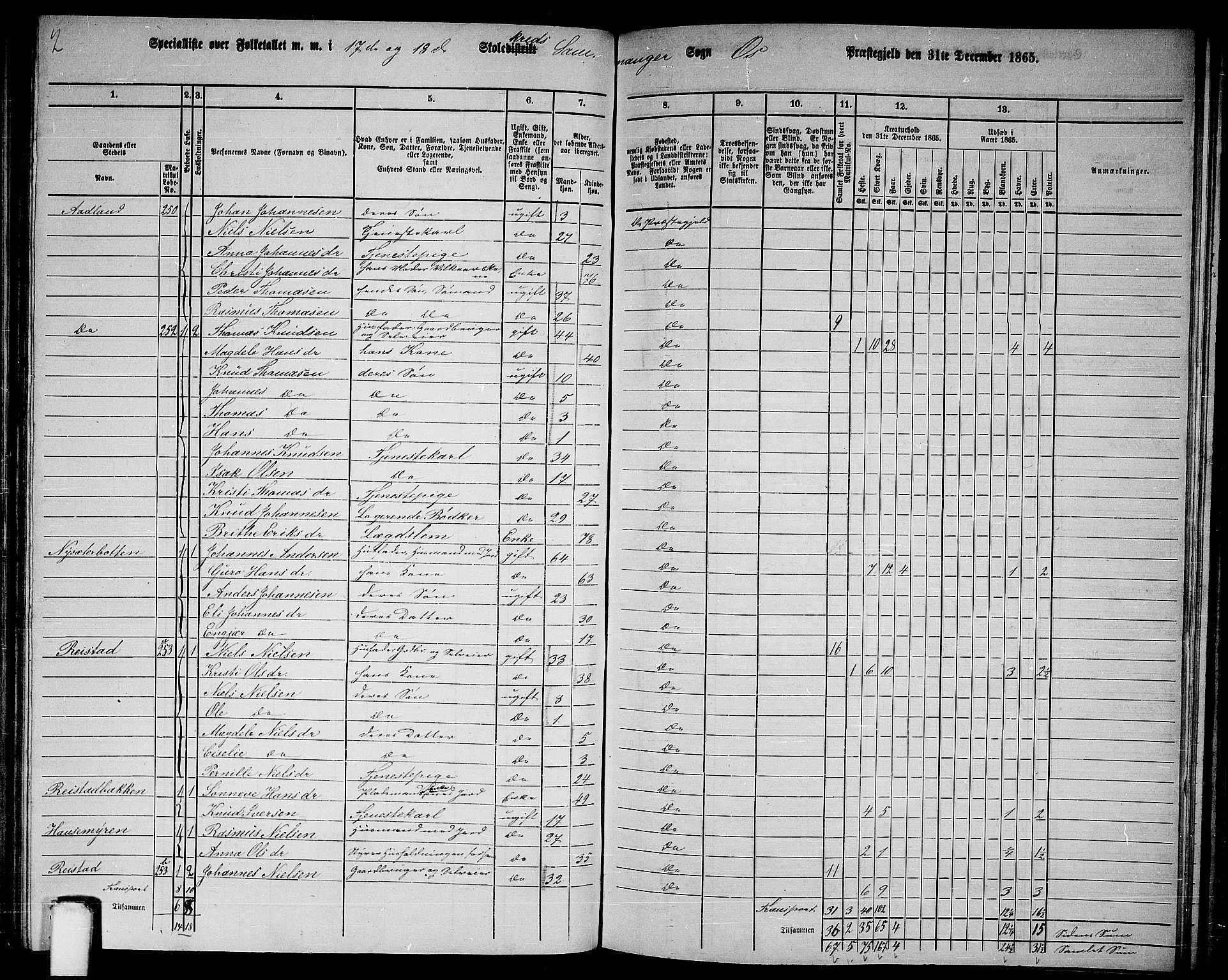 RA, 1865 census for Os, 1865, p. 113