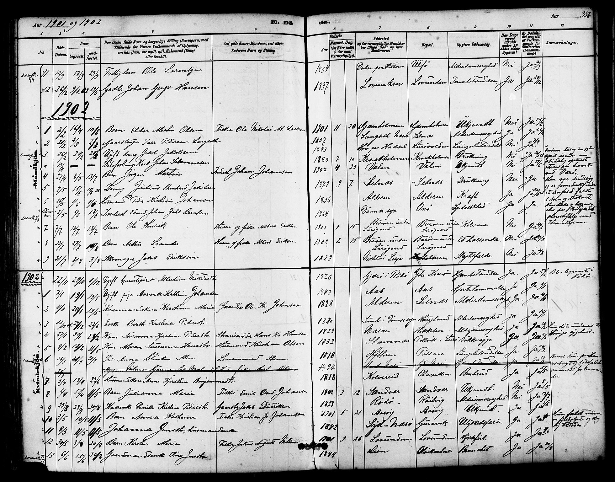 Ministerialprotokoller, klokkerbøker og fødselsregistre - Nordland, SAT/A-1459/839/L0568: Parish register (official) no. 839A05, 1880-1902, p. 356