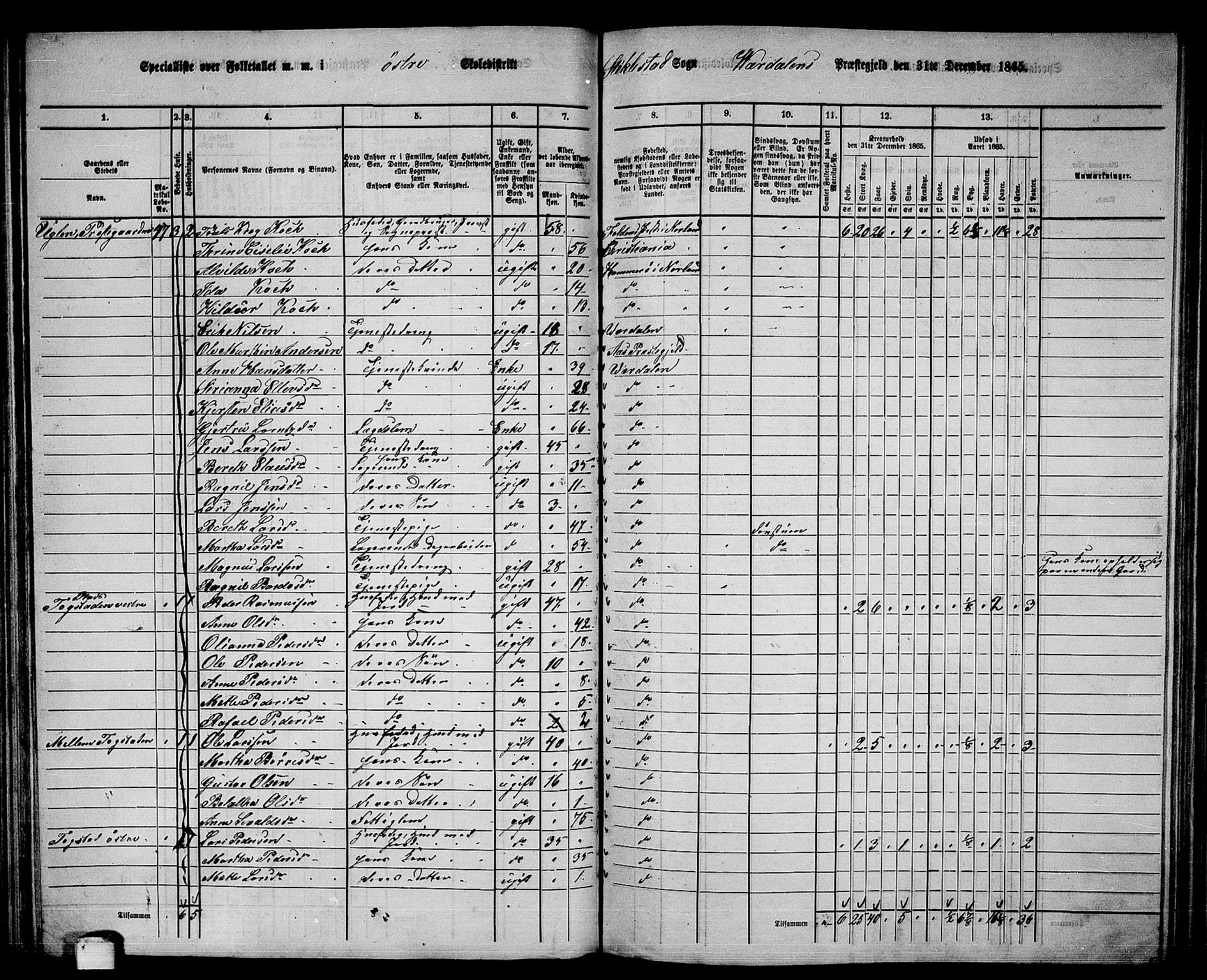 RA, 1865 census for Verdal, 1865, p. 110