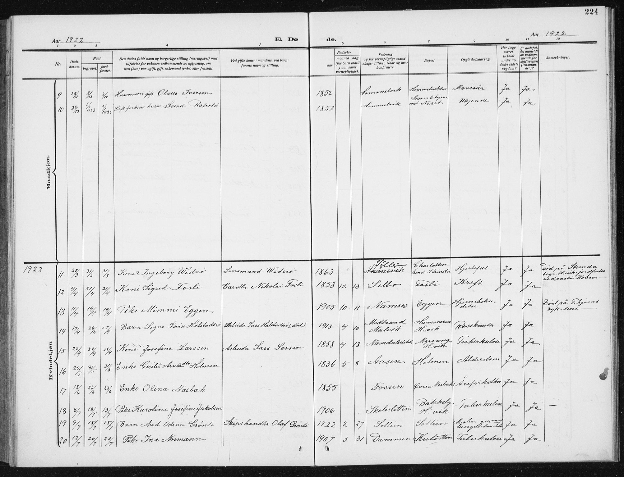 Ministerialprotokoller, klokkerbøker og fødselsregistre - Sør-Trøndelag, SAT/A-1456/617/L0431: Parish register (copy) no. 617C02, 1910-1936, p. 224