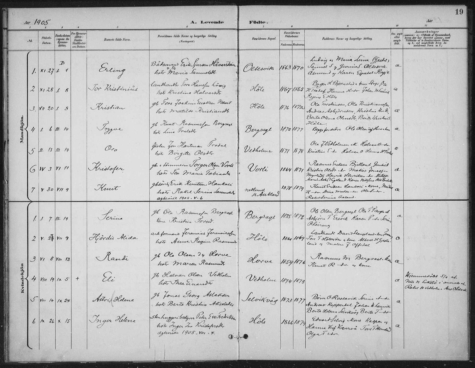 Høgsfjord sokneprestkontor, AV/SAST-A-101624/H/Ha/Haa/L0008: Parish register (official) no. A 8, 1898-1920, p. 19