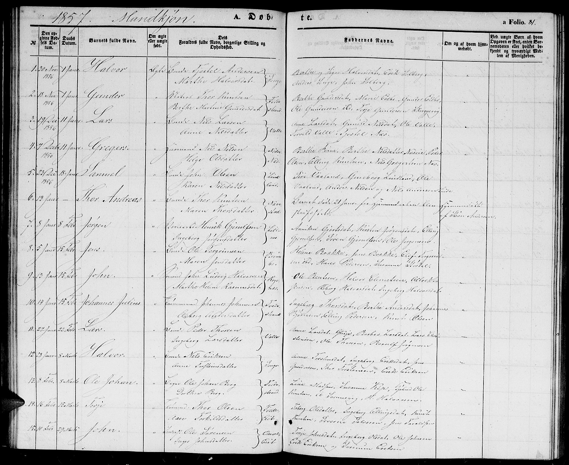 Holt sokneprestkontor, AV/SAK-1111-0021/F/Fb/L0007: Parish register (copy) no. B 7, 1849-1858, p. 81