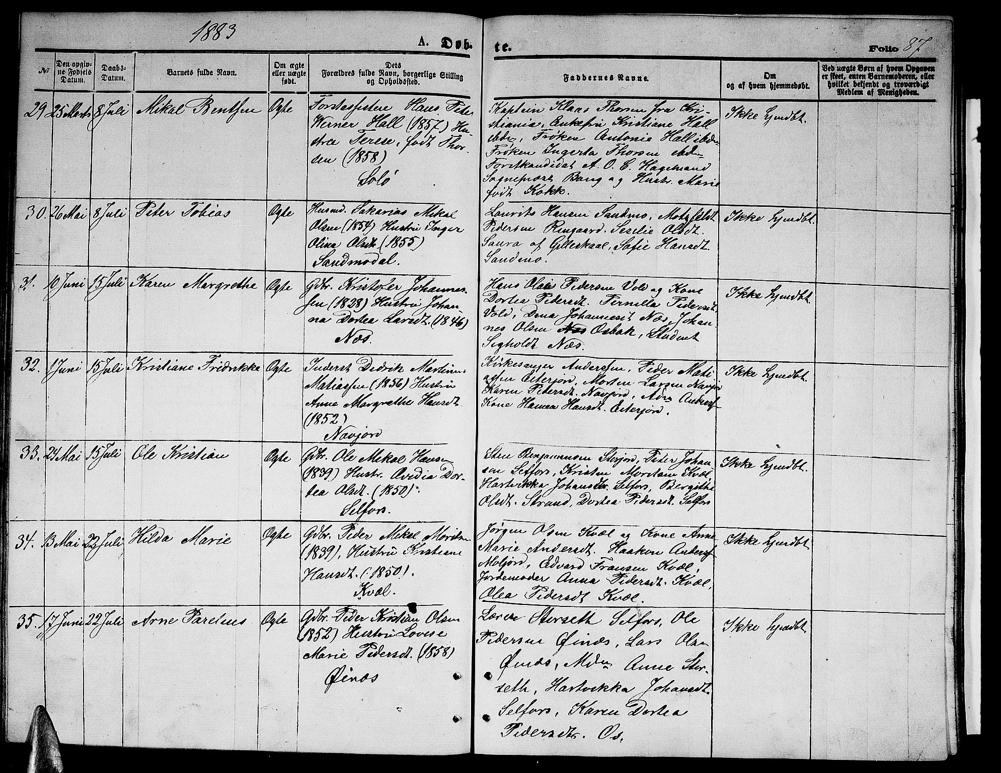 Ministerialprotokoller, klokkerbøker og fødselsregistre - Nordland, AV/SAT-A-1459/846/L0653: Parish register (copy) no. 846C03, 1872-1887, p. 87