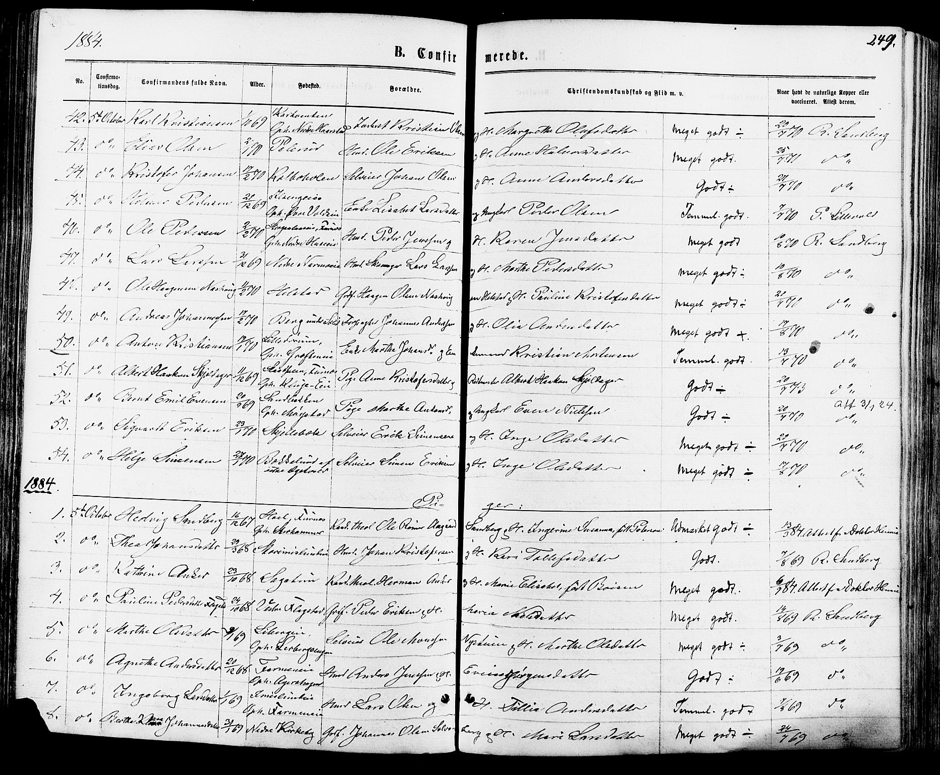 Vang prestekontor, Hedmark, AV/SAH-PREST-008/H/Ha/Haa/L0015: Parish register (official) no. 15, 1871-1885, p. 249