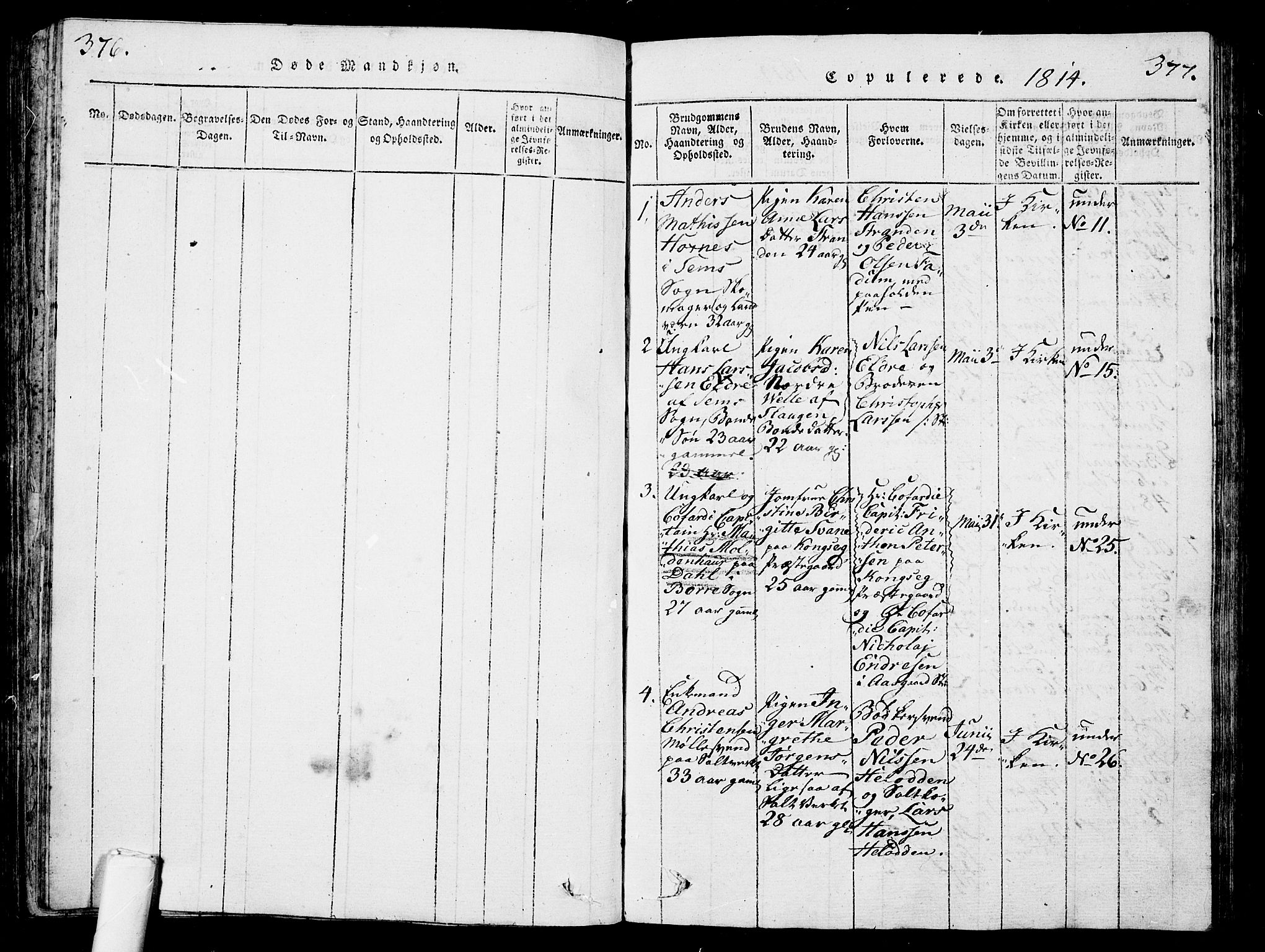 Sem kirkebøker, SAKO/A-5/G/Ga/L0001: Parish register (copy) no. I 1, 1814-1825, p. 376-377
