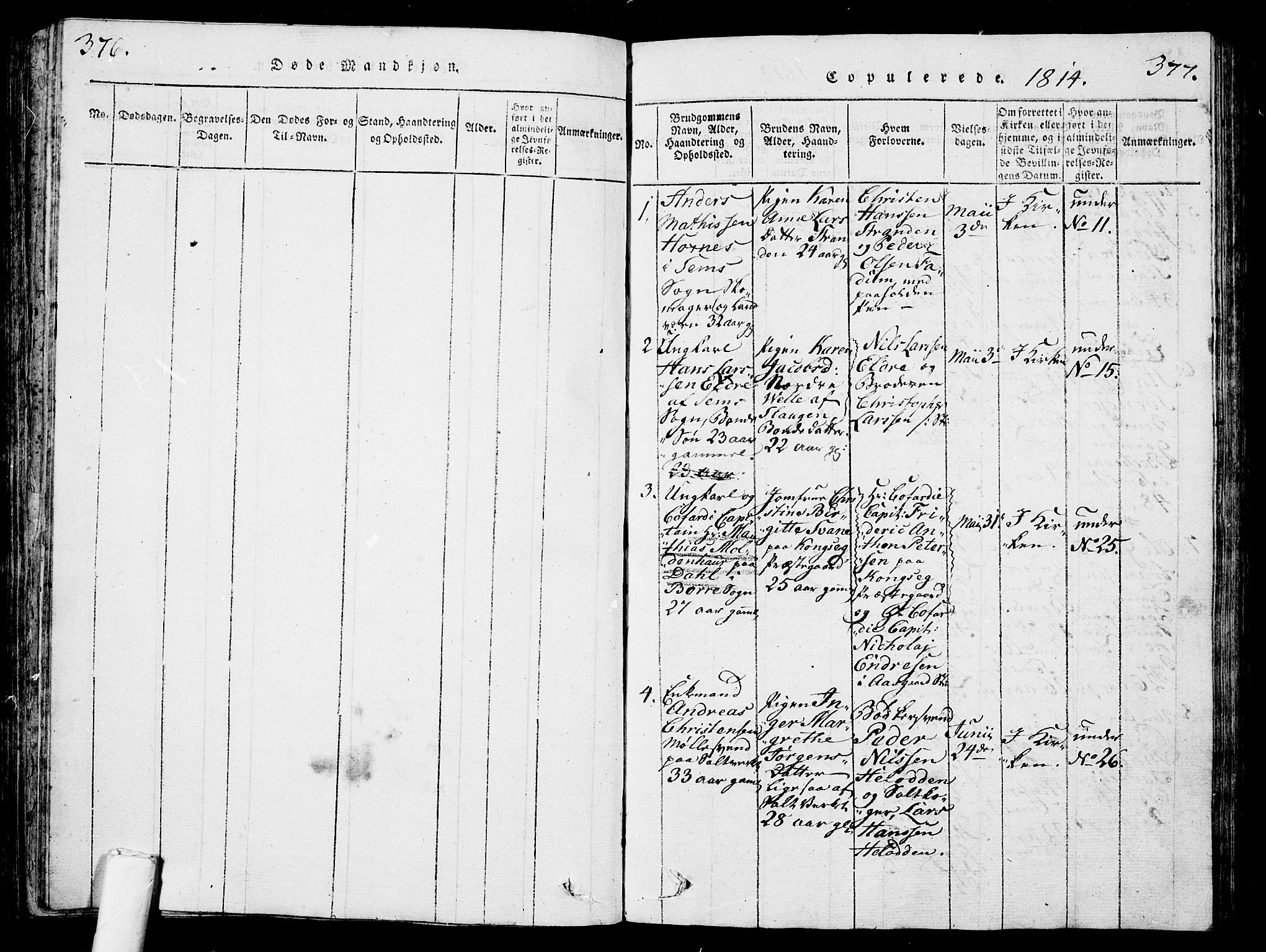 Sem kirkebøker, AV/SAKO-A-5/G/Ga/L0001: Parish register (copy) no. I 1, 1814-1825, p. 376-377