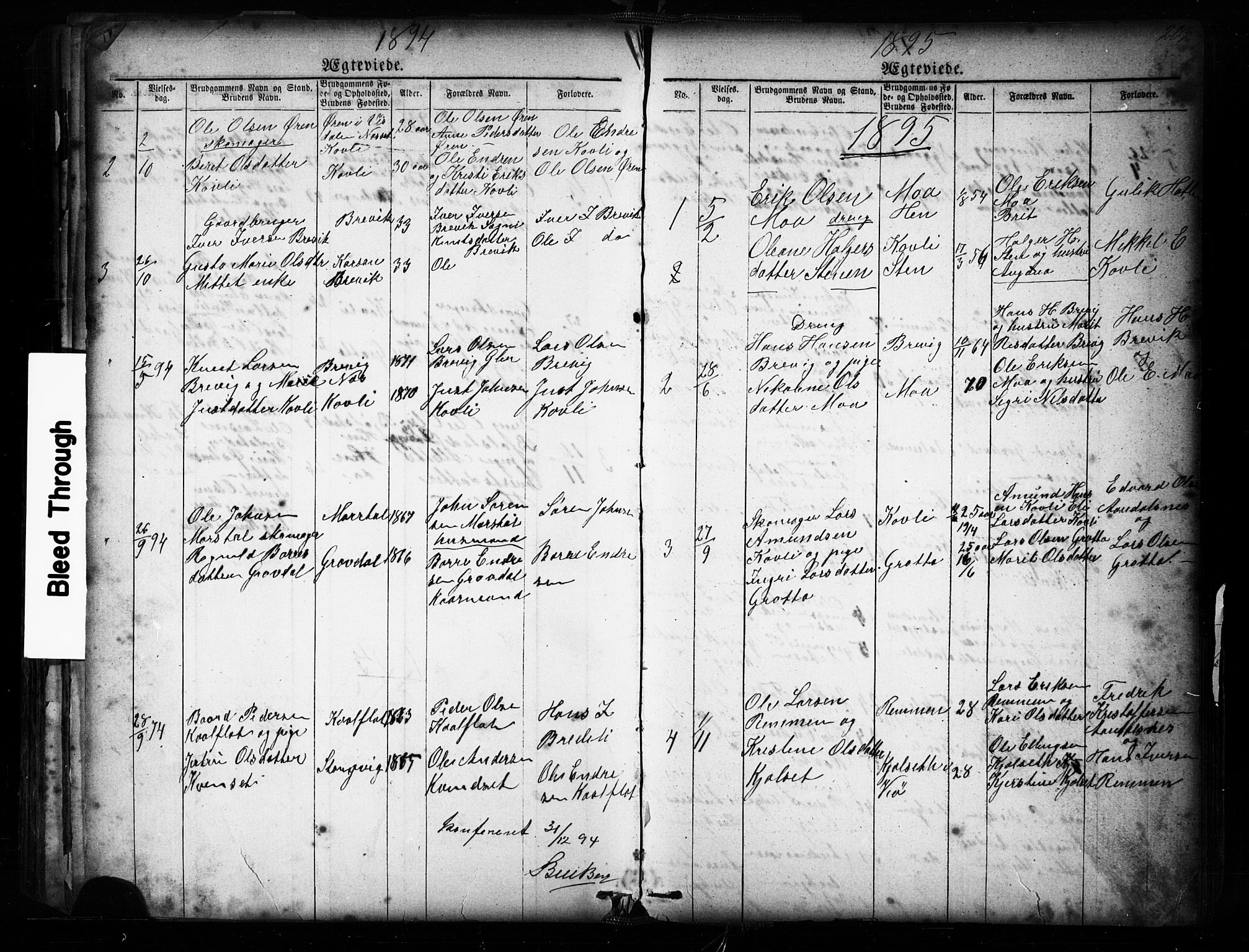 Ministerialprotokoller, klokkerbøker og fødselsregistre - Møre og Romsdal, SAT/A-1454/545/L0588: Parish register (copy) no. 545C02, 1867-1902, p. 202