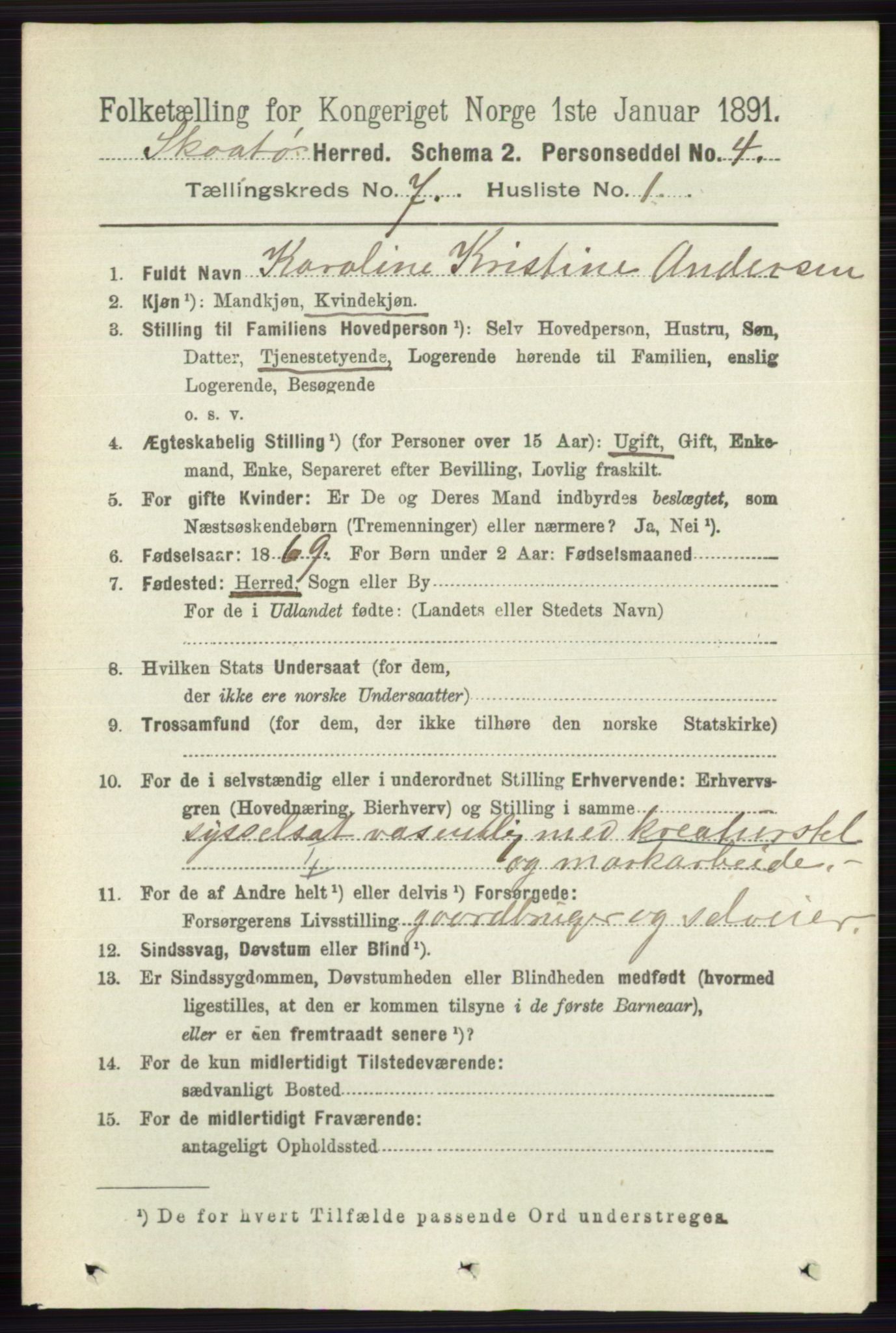 RA, 1891 census for 0815 Skåtøy, 1891, p. 3080