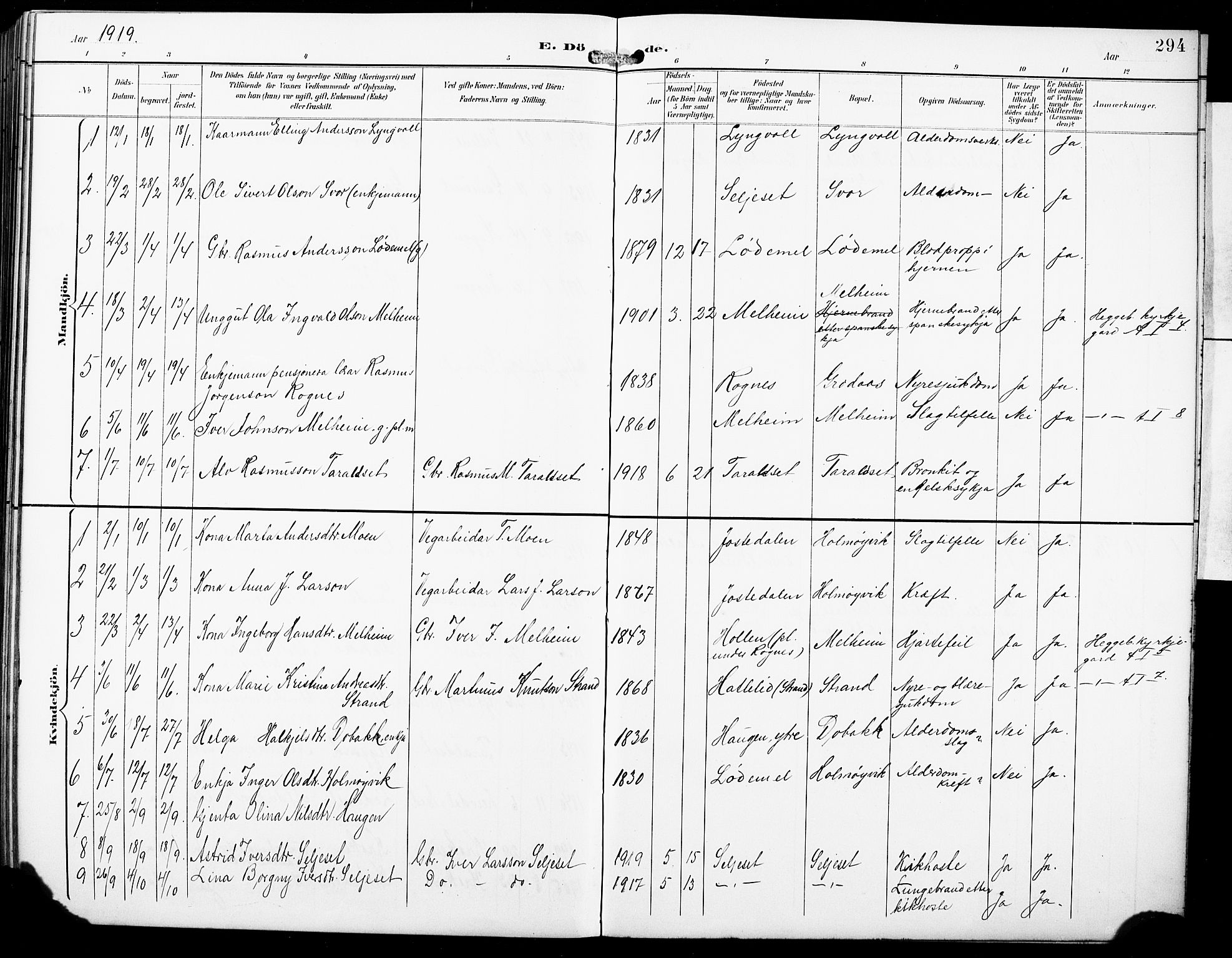 Hornindal sokneprestembete, SAB/A-82401/H/Hab: Parish register (copy) no. A 2, 1894-1927, p. 294