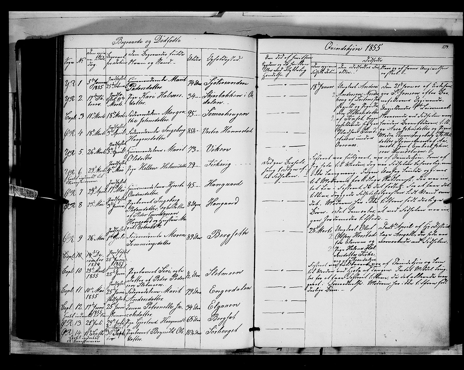 Rendalen prestekontor, SAH/PREST-054/H/Ha/Haa/L0005: Parish register (official) no. 5, 1853-1866, p. 273