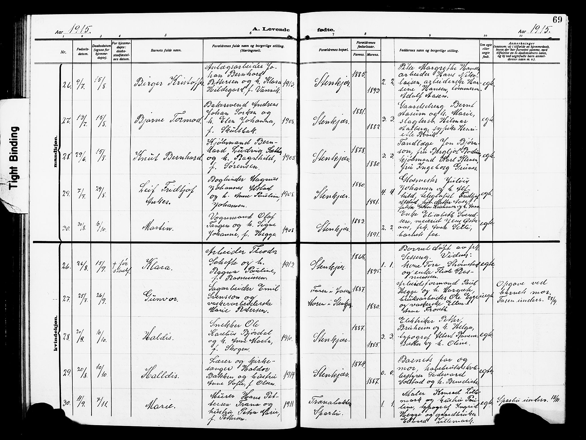 Ministerialprotokoller, klokkerbøker og fødselsregistre - Nord-Trøndelag, AV/SAT-A-1458/739/L0376: Parish register (copy) no. 739C04, 1908-1917, p. 69