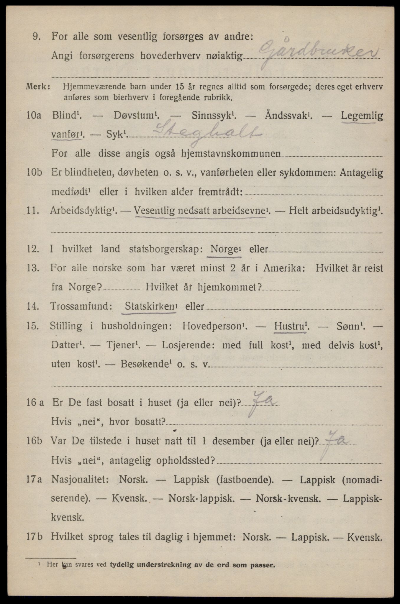 SAT, 1920 census for Bodin, 1920, p. 2907