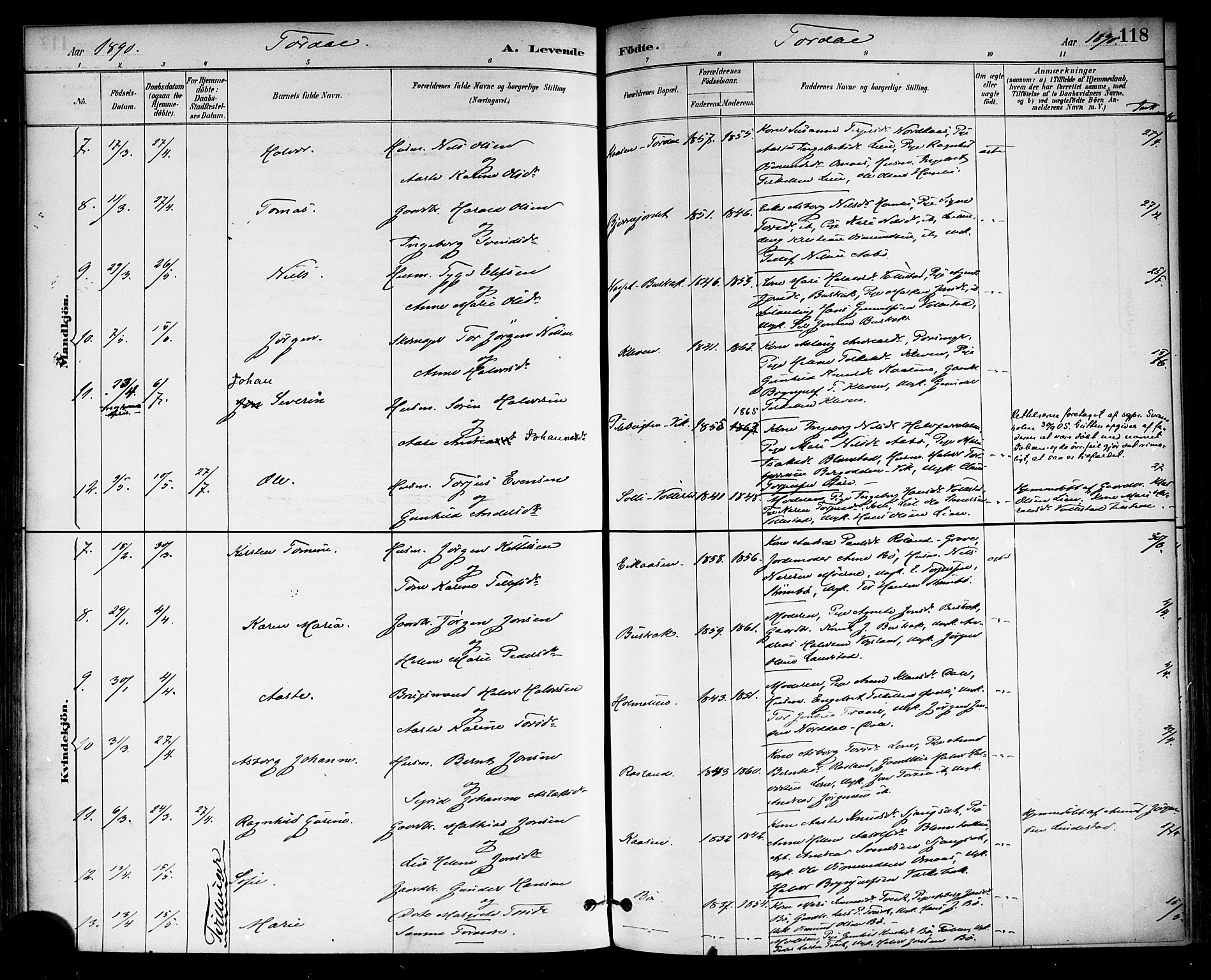Drangedal kirkebøker, SAKO/A-258/F/Fa/L0010: Parish register (official) no. 10 /2, 1885-1894, p. 118