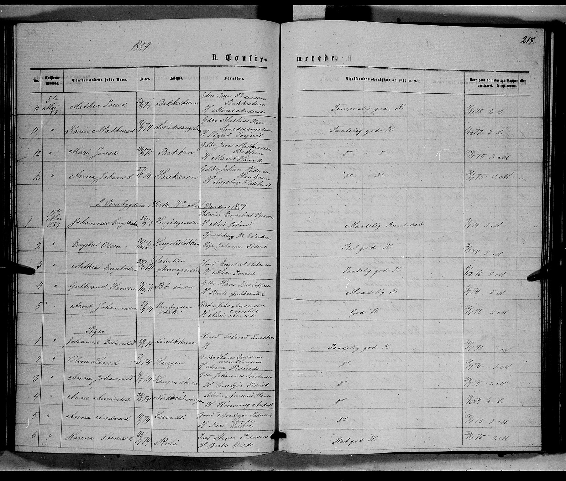 Ringebu prestekontor, SAH/PREST-082/H/Ha/Hab/L0006: Parish register (copy) no. 6, 1880-1898, p. 217
