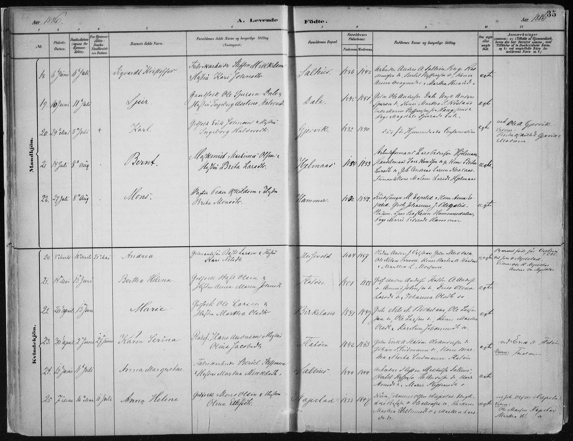 Hamre sokneprestembete, AV/SAB-A-75501/H/Ha/Haa/Haab/L0001: Parish register (official) no. B  1, 1882-1905, p. 35