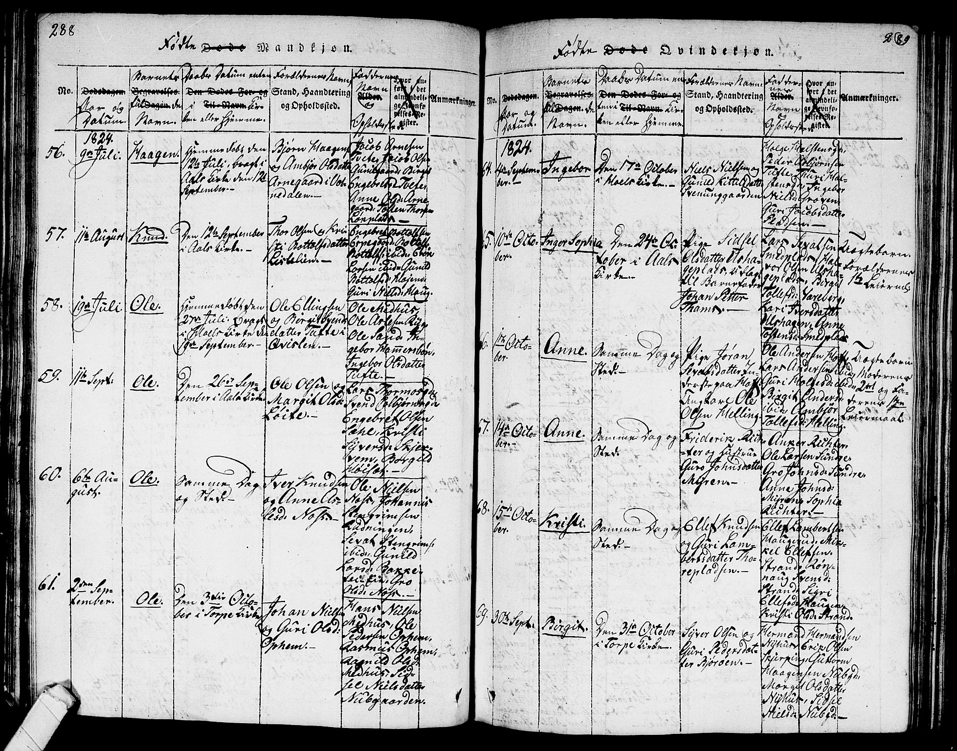 Ål kirkebøker, AV/SAKO-A-249/G/Ga/L0001: Parish register (copy) no. 1, 1815-1829, p. 288-289