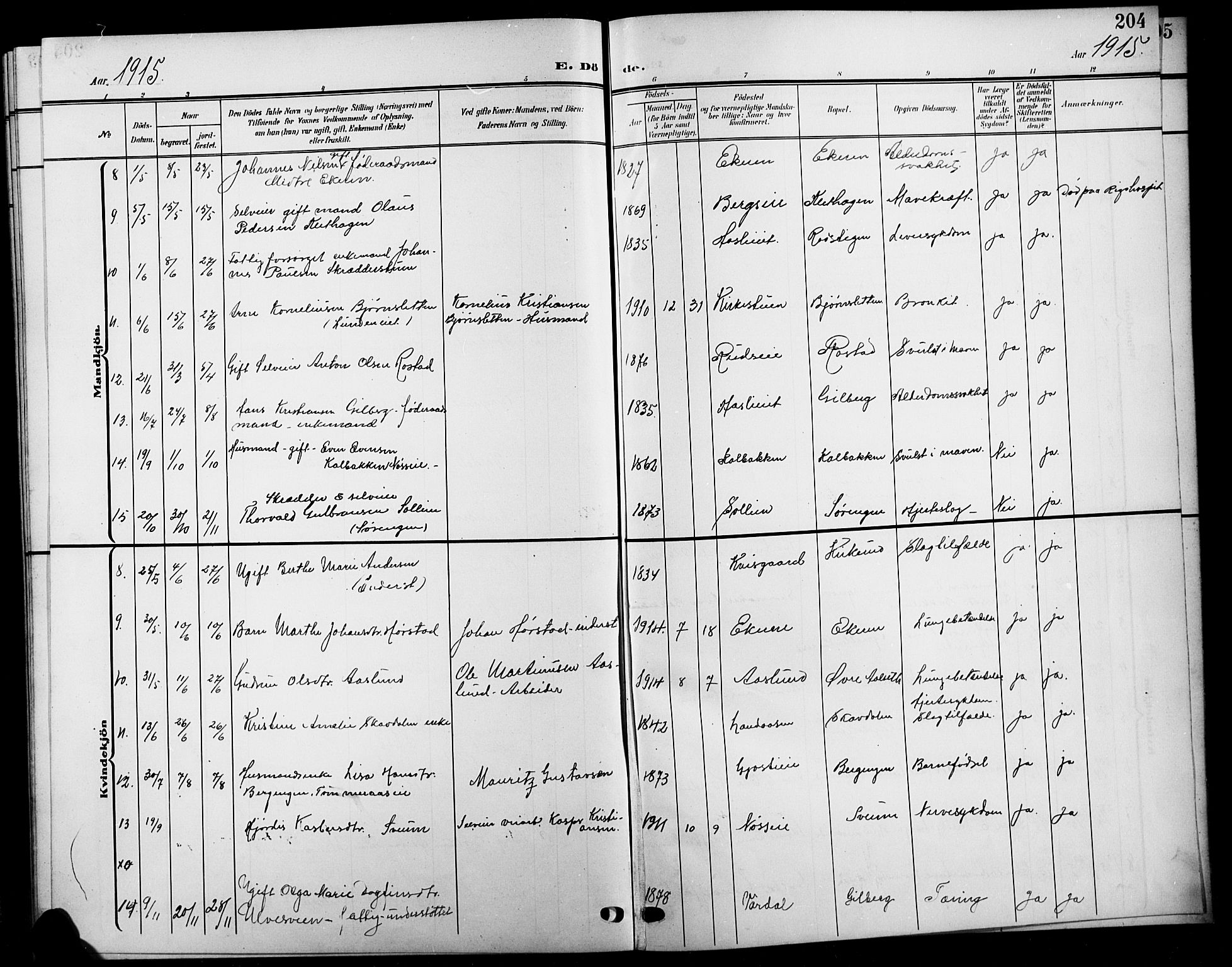 Biri prestekontor, SAH/PREST-096/H/Ha/Hab/L0005: Parish register (copy) no. 5, 1906-1919, p. 204