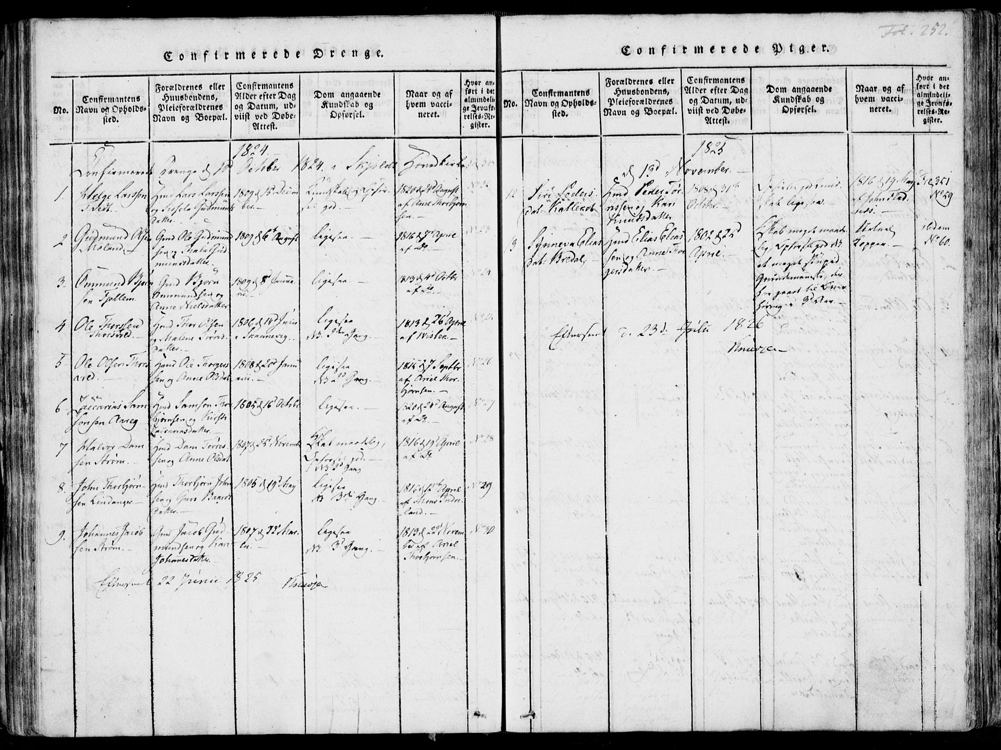 Skjold sokneprestkontor, SAST/A-101847/H/Ha/Haa/L0003: Parish register (official) no. A 3, 1815-1835, p. 252