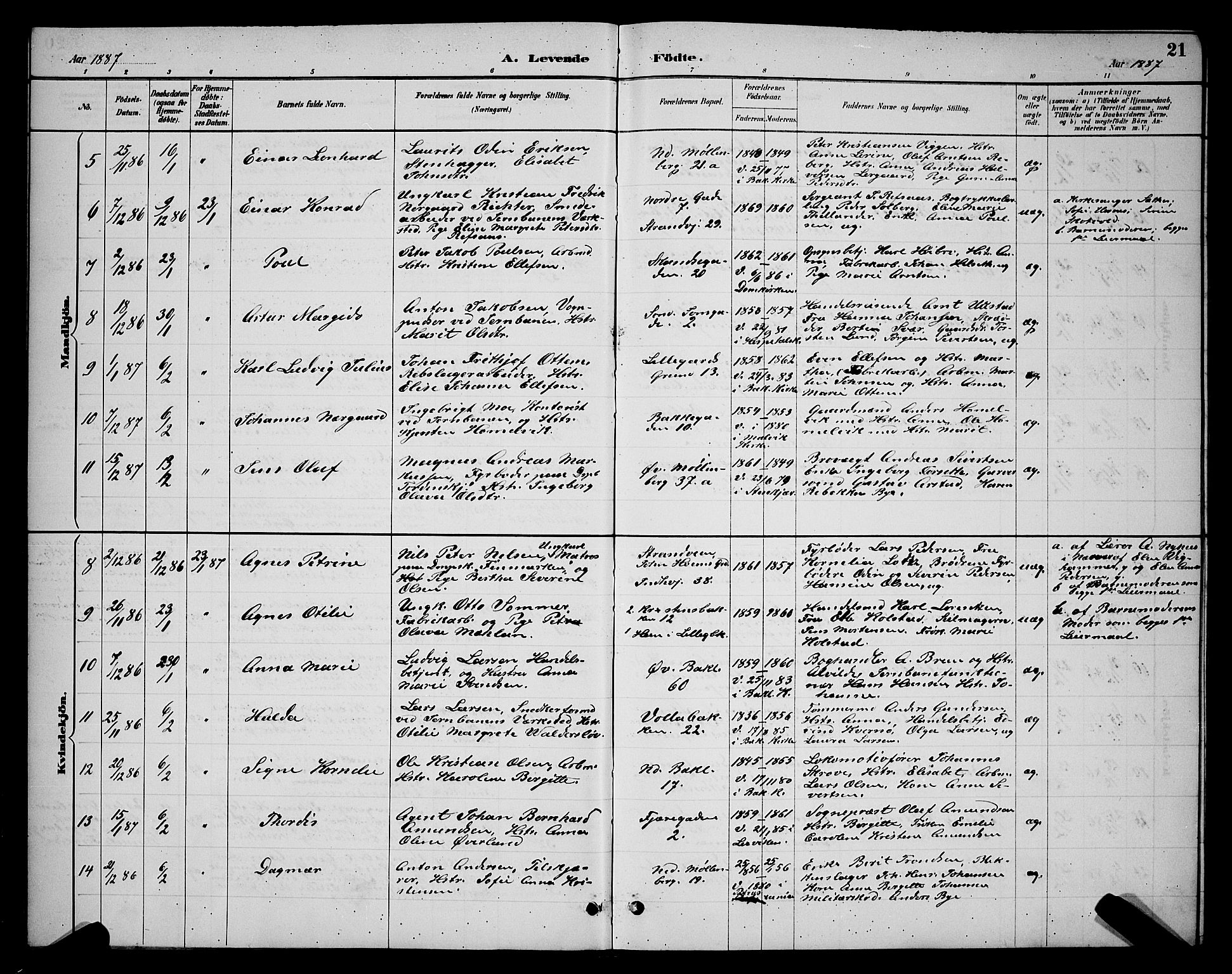 Ministerialprotokoller, klokkerbøker og fødselsregistre - Sør-Trøndelag, SAT/A-1456/604/L0222: Parish register (copy) no. 604C05, 1886-1895, p. 21