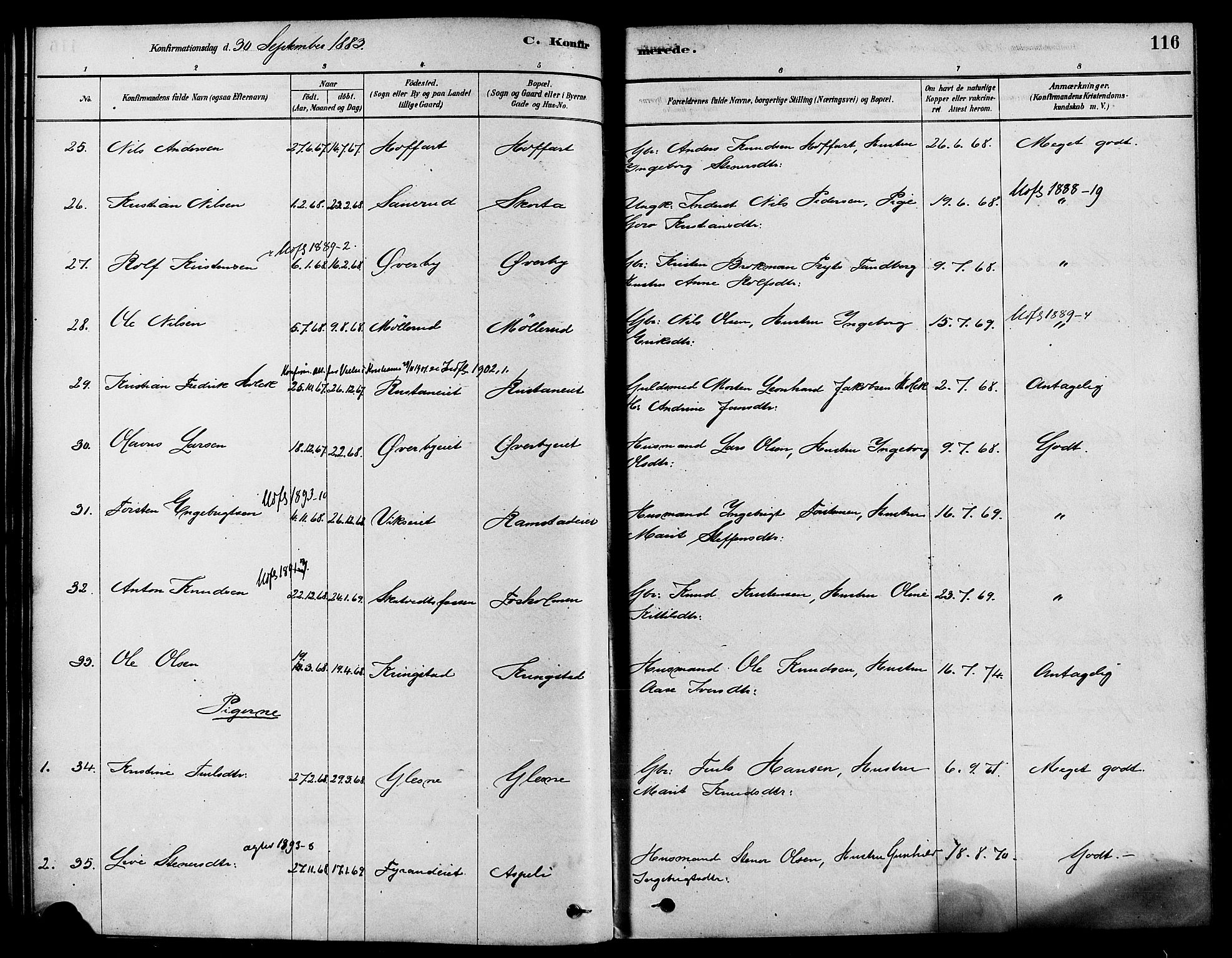 Sigdal kirkebøker, AV/SAKO-A-245/F/Fa/L0011: Parish register (official) no. I 11, 1879-1887, p. 116