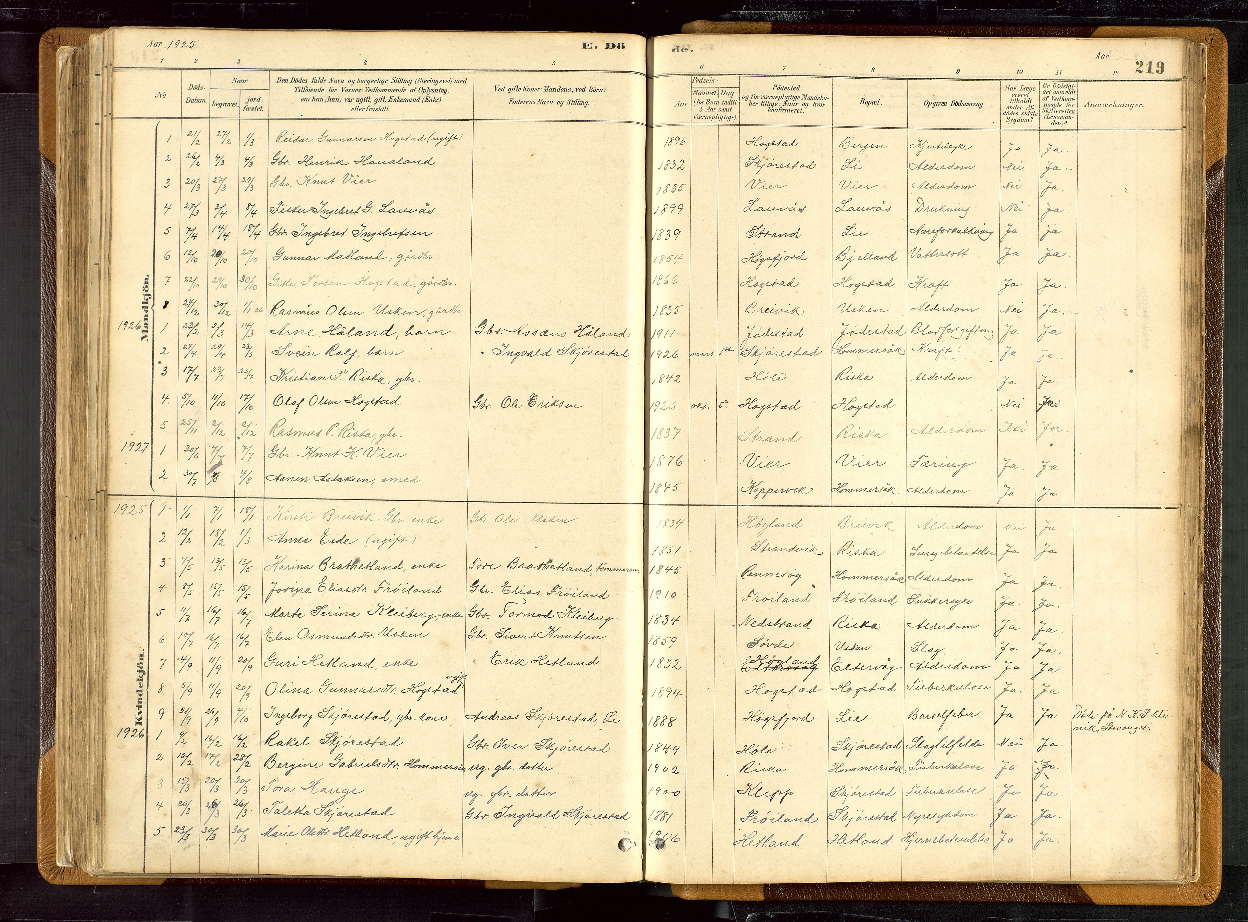 Hetland sokneprestkontor, SAST/A-101826/30/30BB/L0007: Parish register (copy) no. B 7, 1878-1910, p. 219