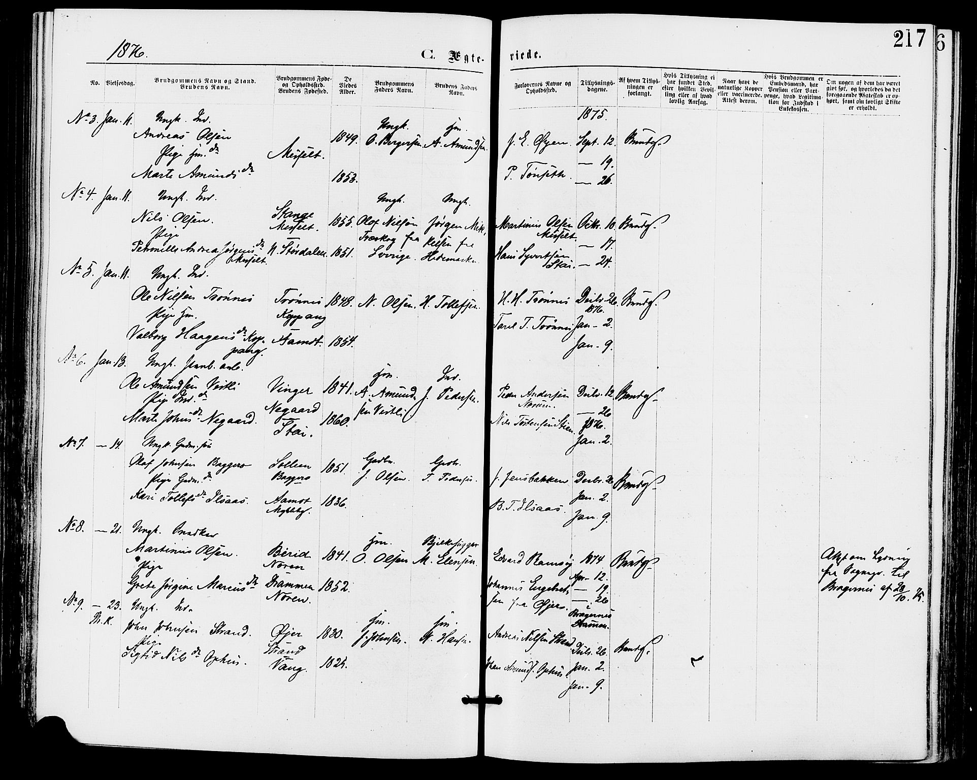 Stor-Elvdal prestekontor, SAH/PREST-052/H/Ha/Haa/L0001: Parish register (official) no. 1, 1871-1882, p. 217