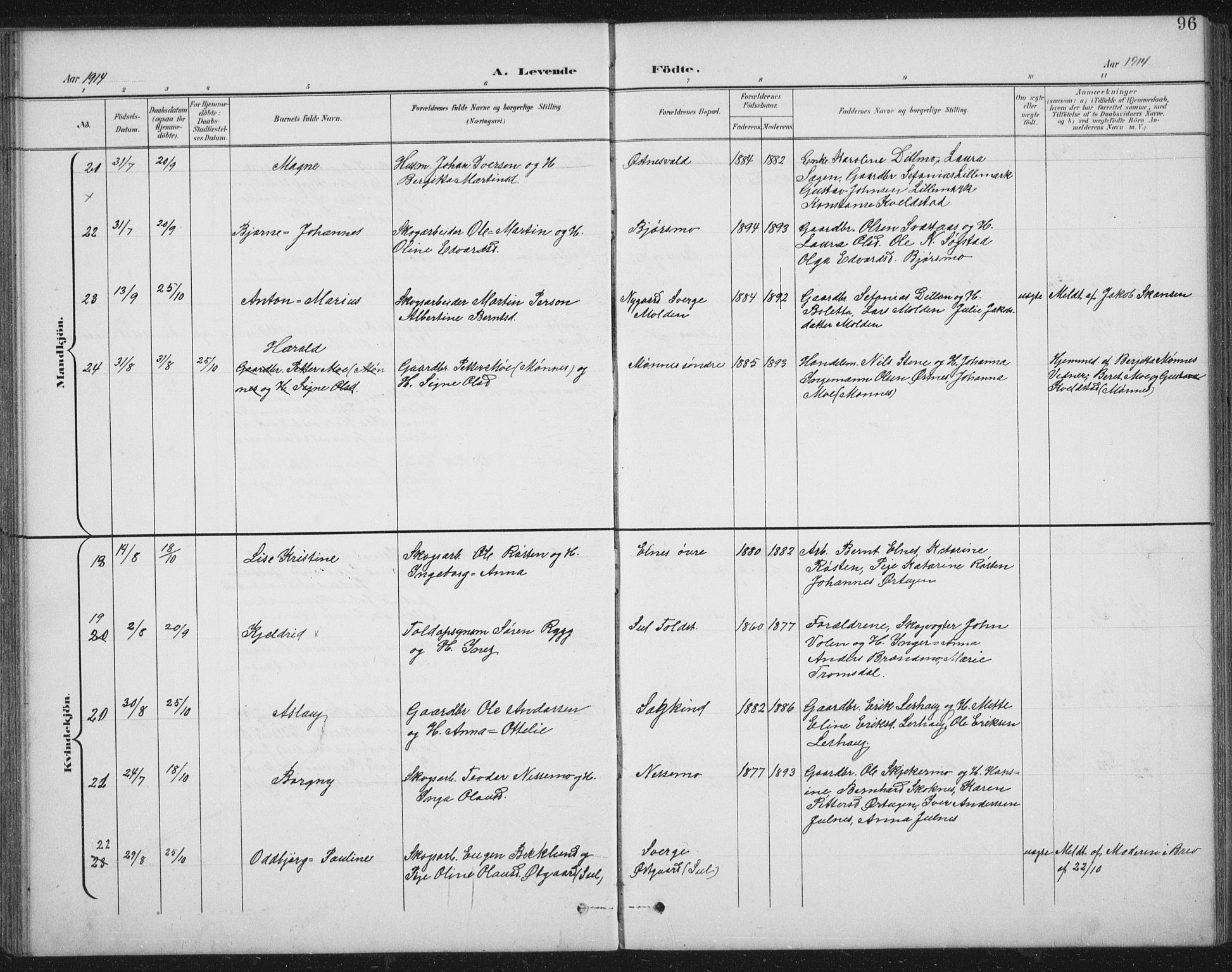 Ministerialprotokoller, klokkerbøker og fødselsregistre - Nord-Trøndelag, AV/SAT-A-1458/724/L0269: Parish register (copy) no. 724C05, 1899-1920, p. 96