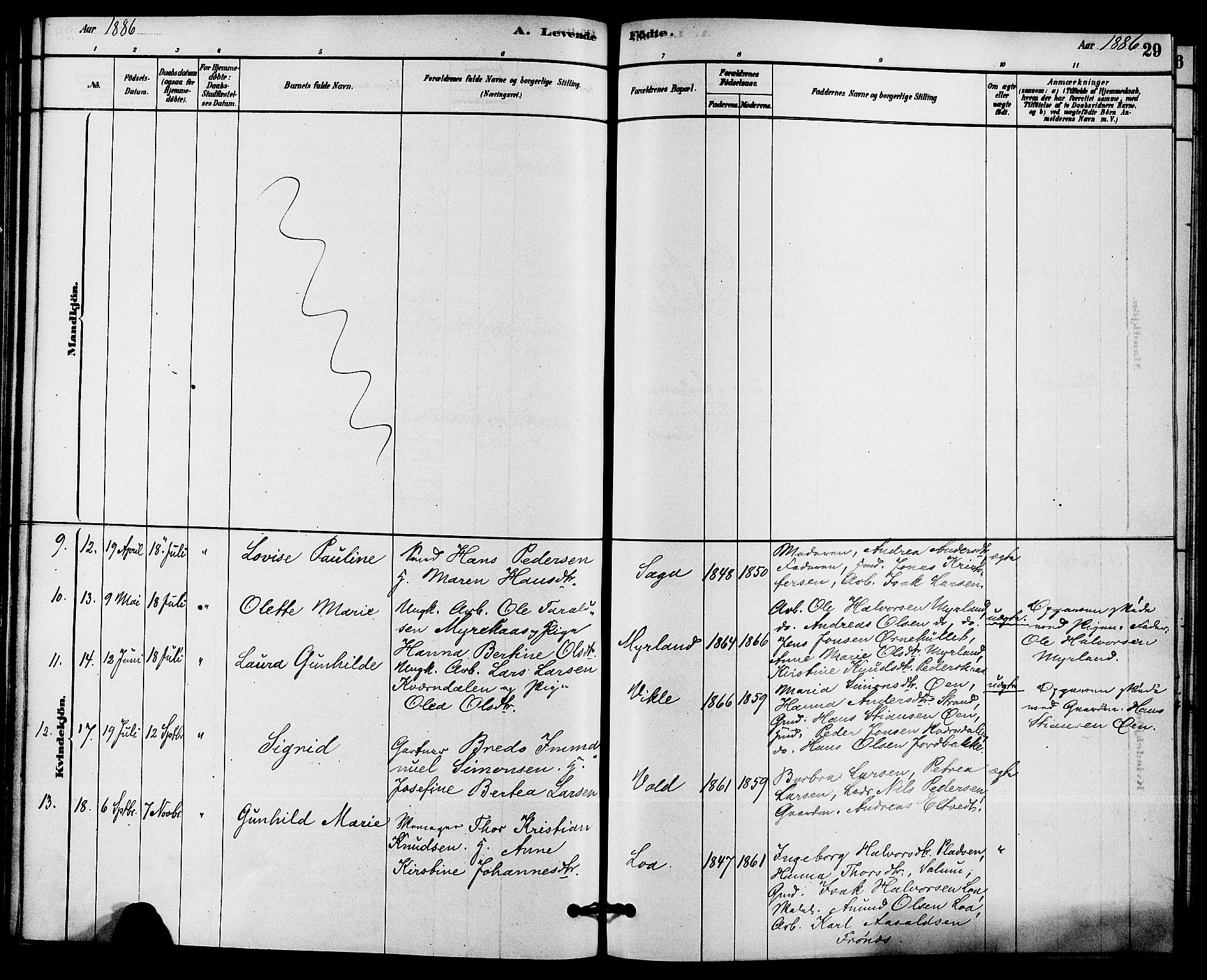 Solum kirkebøker, SAKO/A-306/F/Fc/L0001: Parish register (official) no. III 1, 1877-1891, p. 29