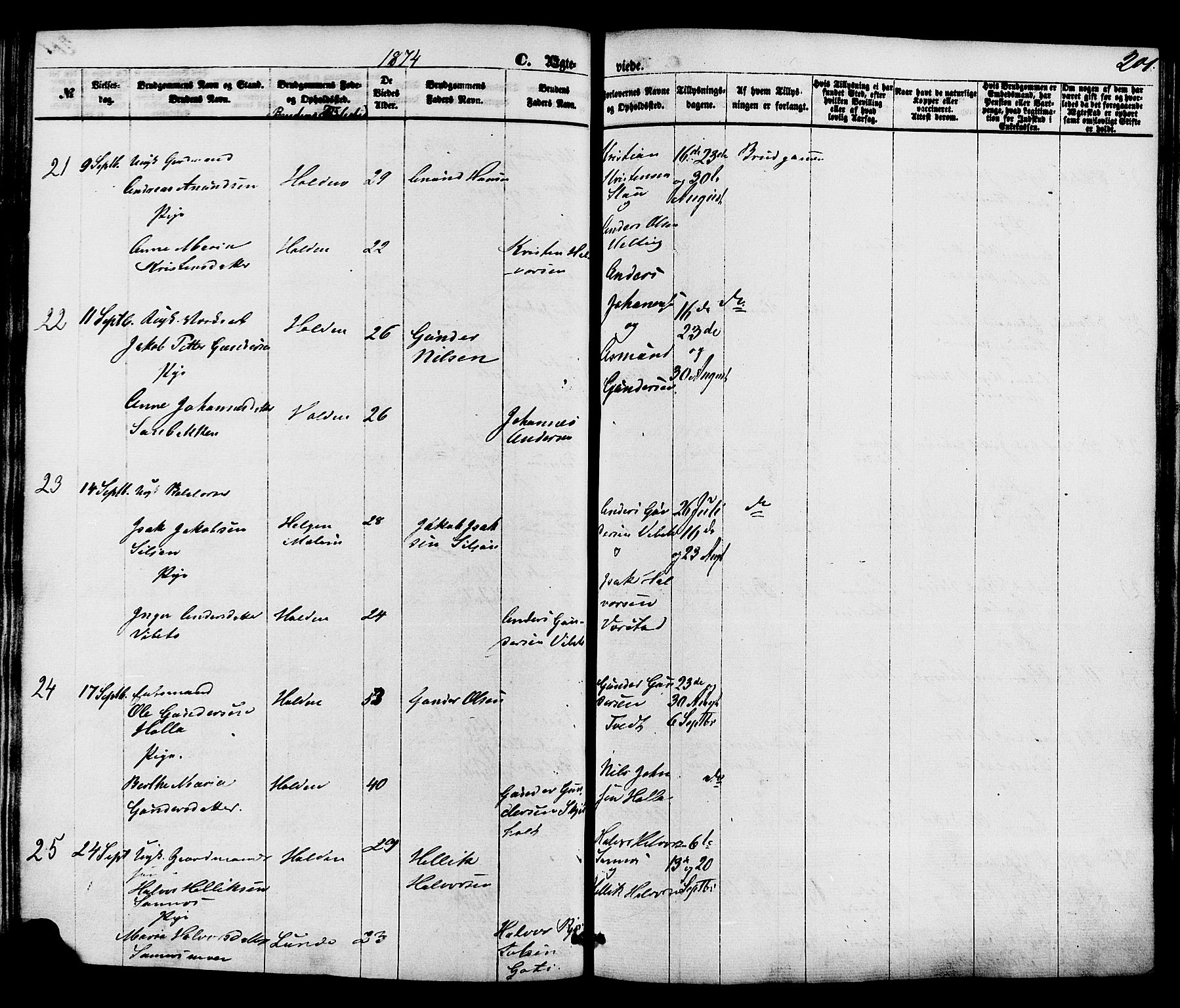 Holla kirkebøker, AV/SAKO-A-272/F/Fa/L0007: Parish register (official) no. 7, 1869-1881, p. 201