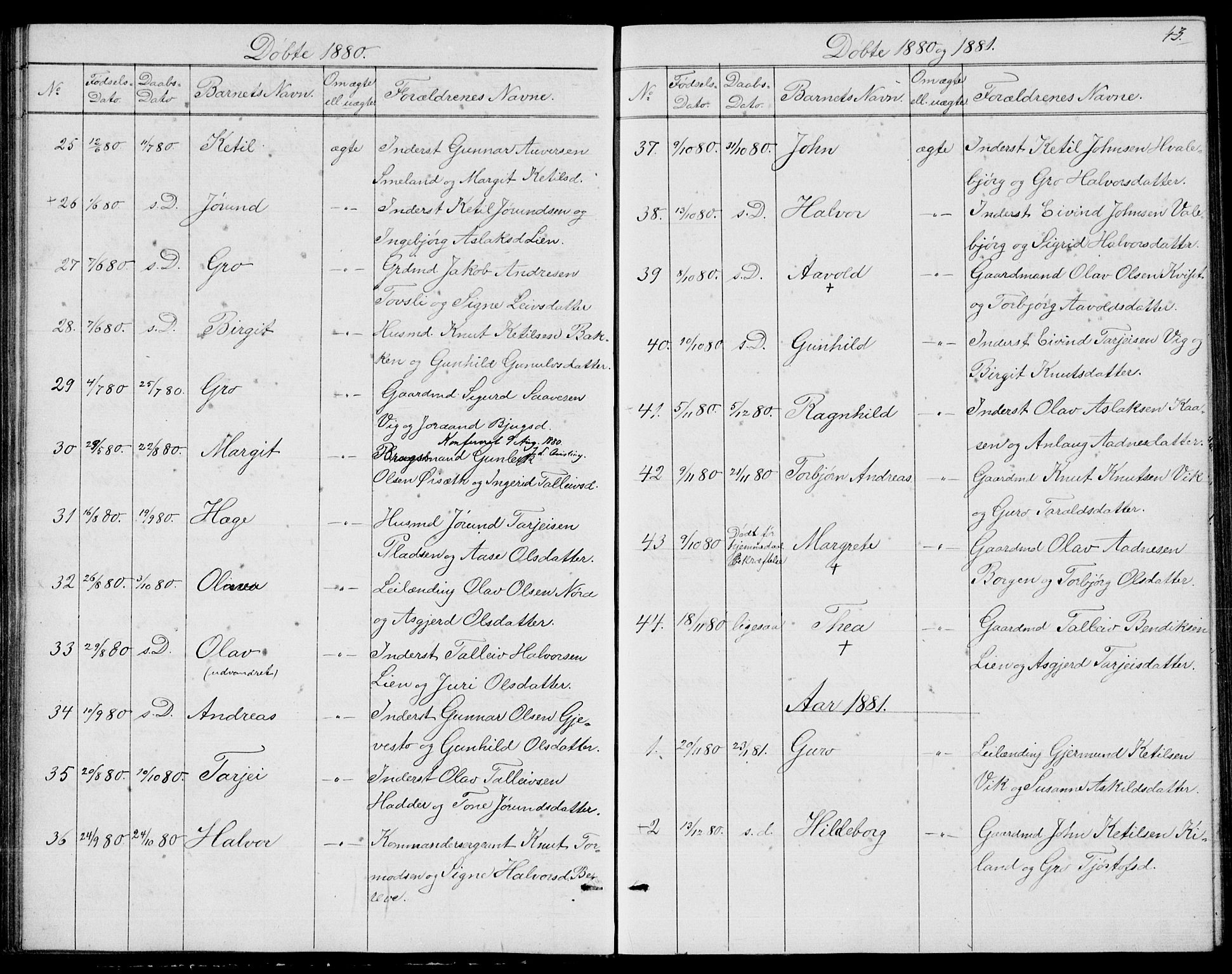 Fyresdal kirkebøker, SAKO/A-263/G/Ga/L0004: Parish register (copy) no. I 4, 1864-1892, p. 43