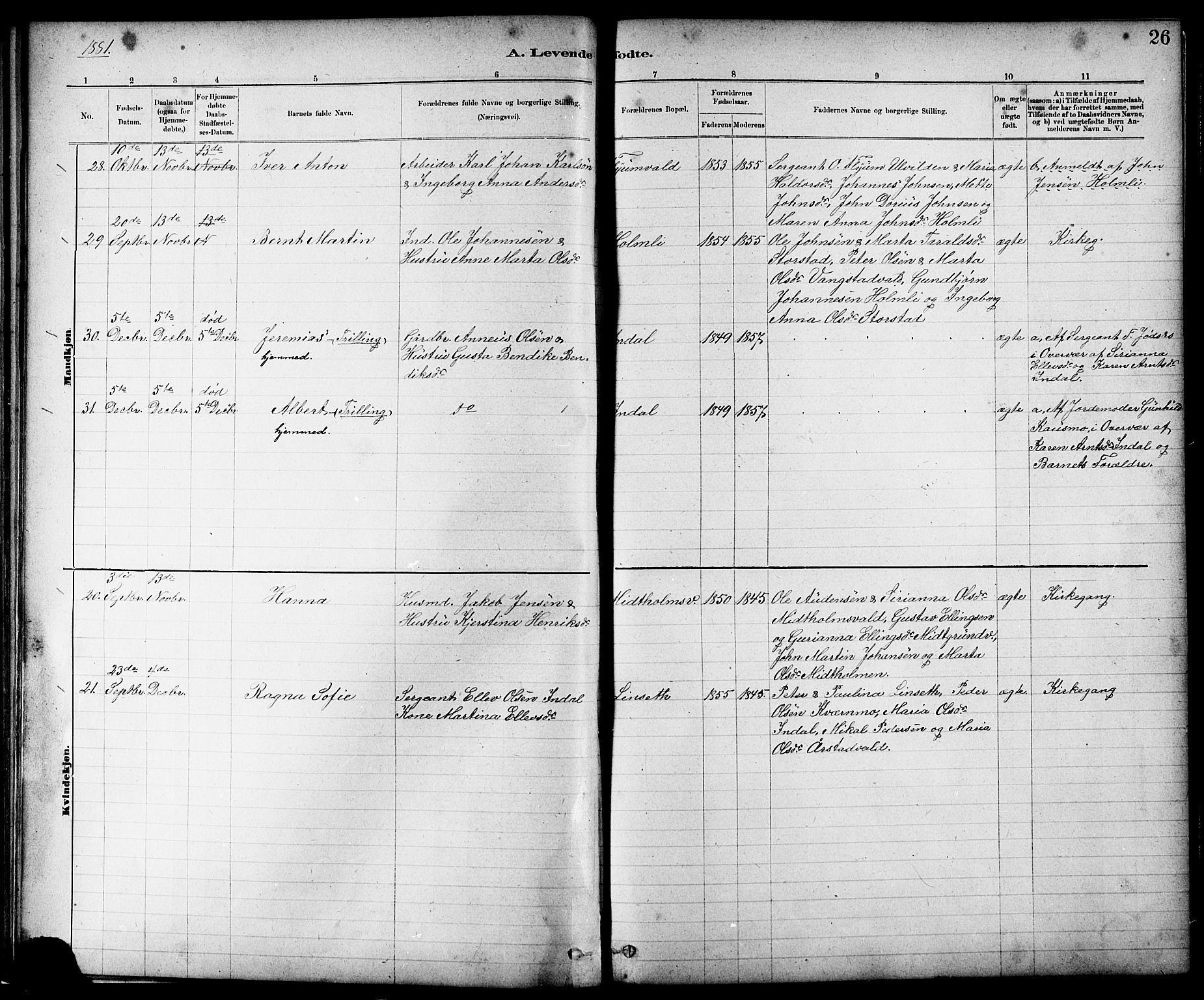 Ministerialprotokoller, klokkerbøker og fødselsregistre - Nord-Trøndelag, AV/SAT-A-1458/724/L0267: Parish register (copy) no. 724C03, 1879-1898, p. 26