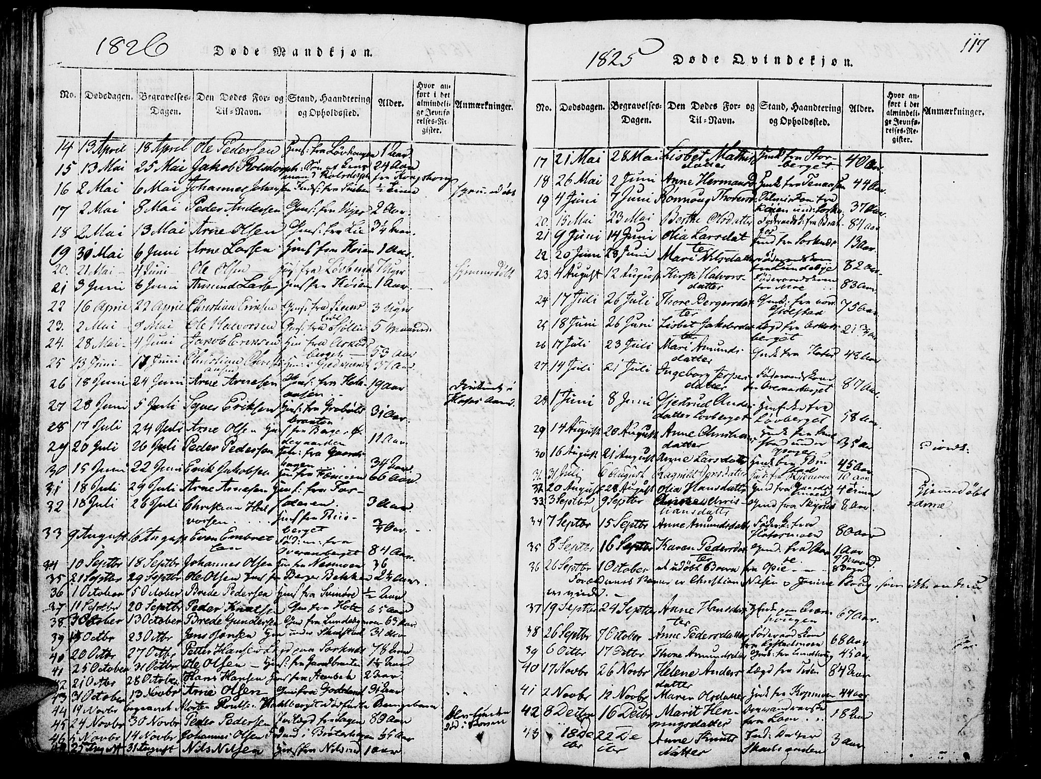 Grue prestekontor, SAH/PREST-036/H/Ha/Haa/L0006: Parish register (official) no. 6, 1814-1830, p. 117
