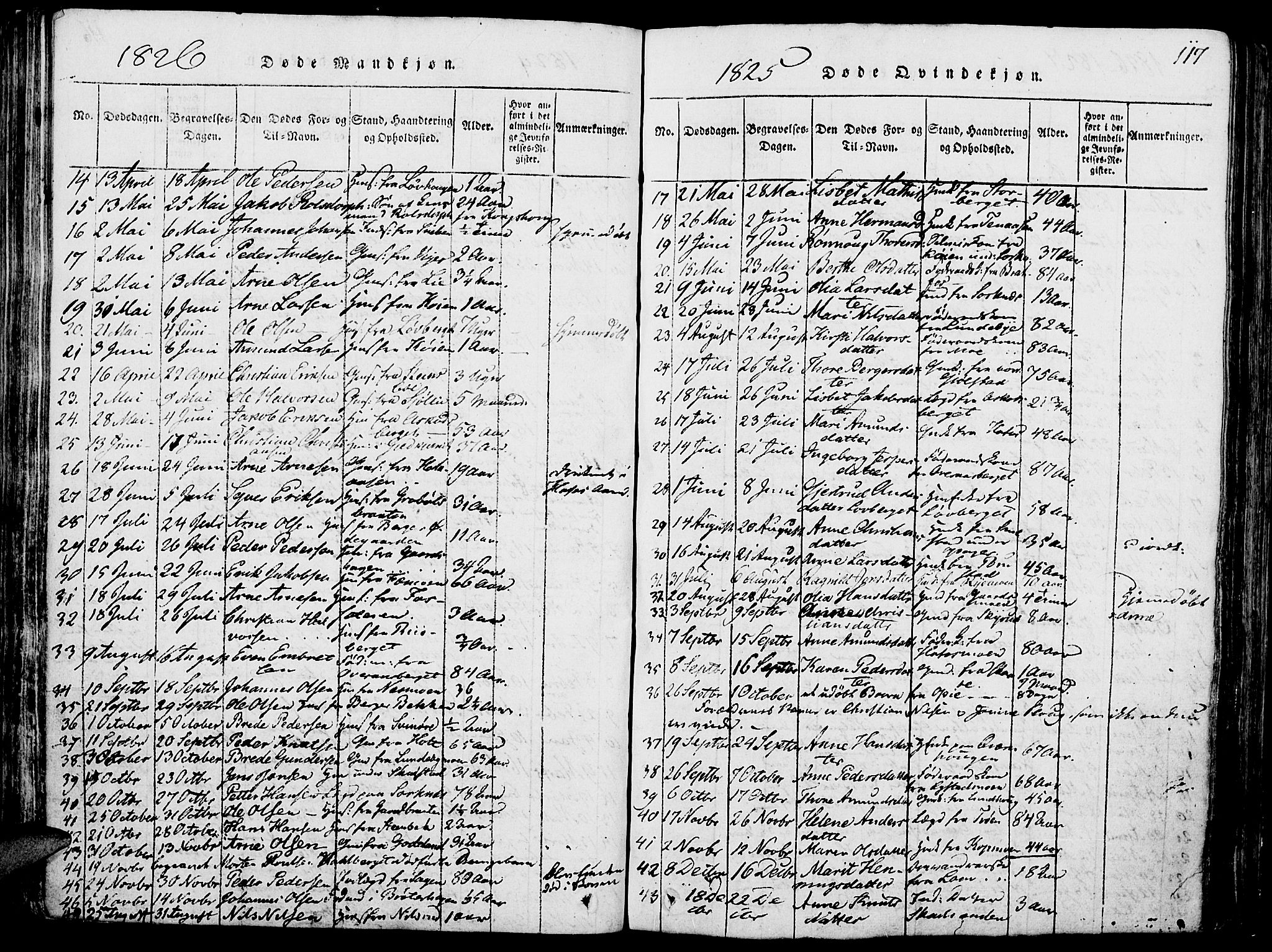 Grue prestekontor, AV/SAH-PREST-036/H/Ha/Haa/L0006: Parish register (official) no. 6, 1814-1830, p. 117