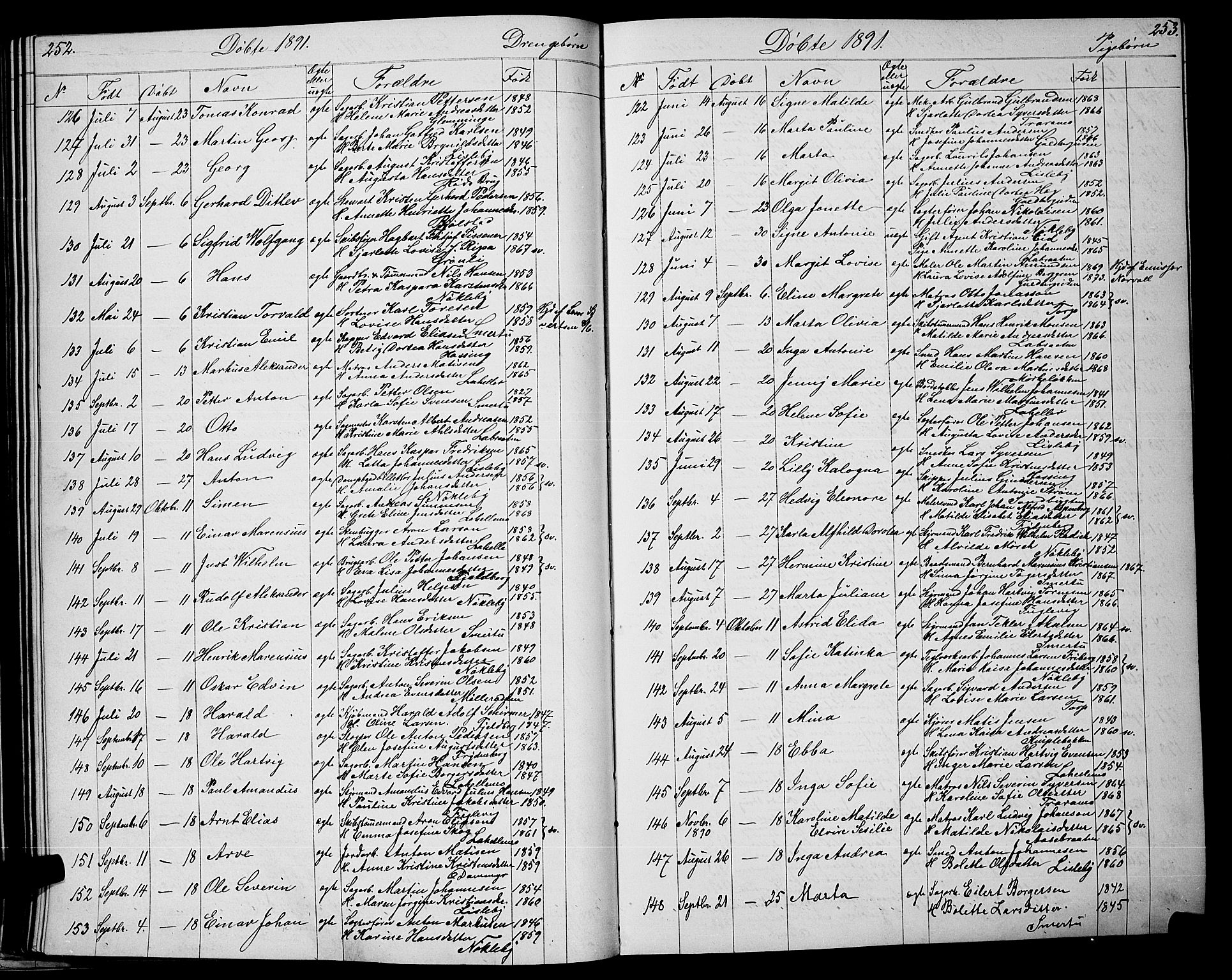 Glemmen prestekontor Kirkebøker, AV/SAO-A-10908/G/Ga/L0005: Parish register (copy) no. 5, 1876-1893, p. 252-253