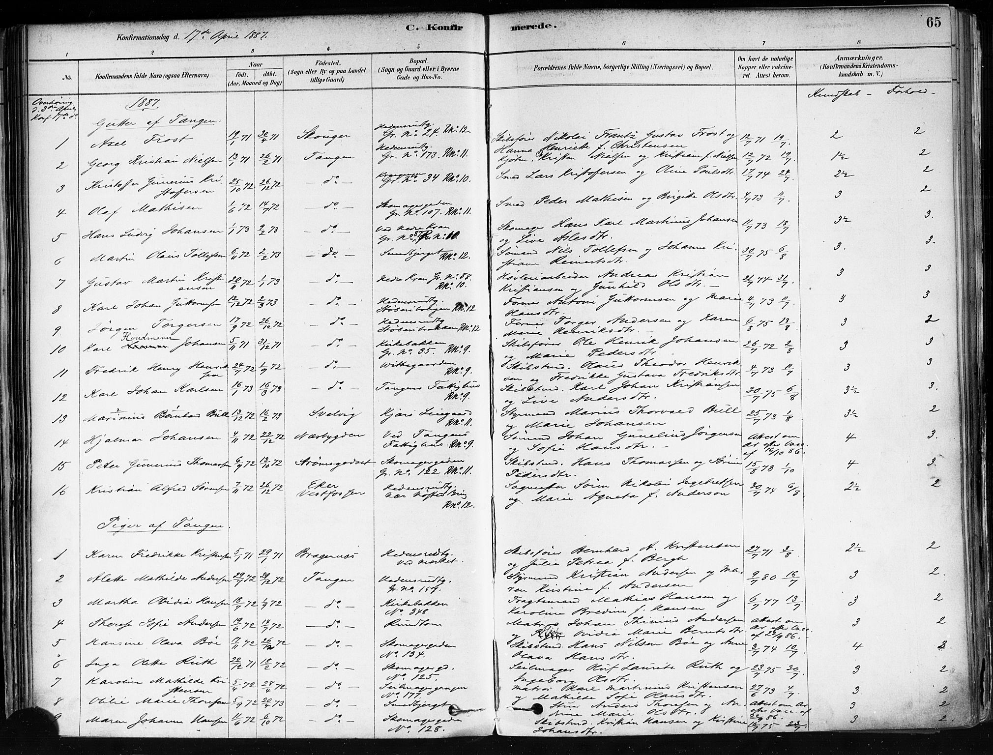 Strømsø kirkebøker, AV/SAKO-A-246/F/Fa/L0022: Parish register (official) no. I 22, 1879-1899, p. 65