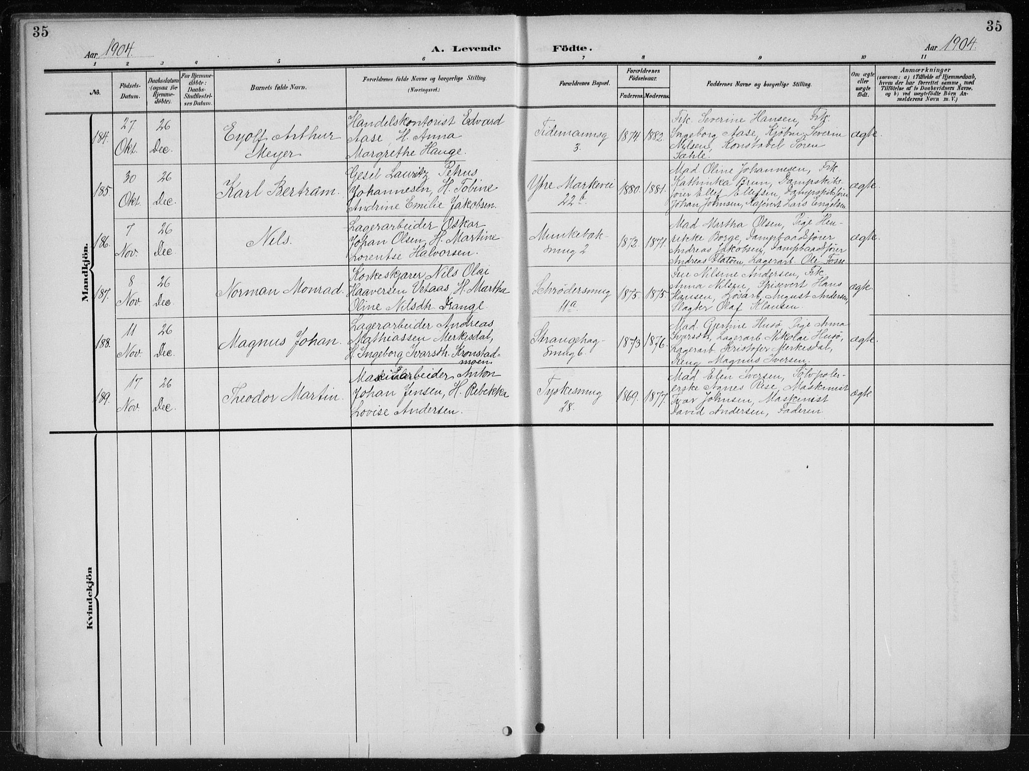 Nykirken Sokneprestembete, AV/SAB-A-77101/H/Haa/L0019: Parish register (official) no. B 7, 1904-1916, p. 35