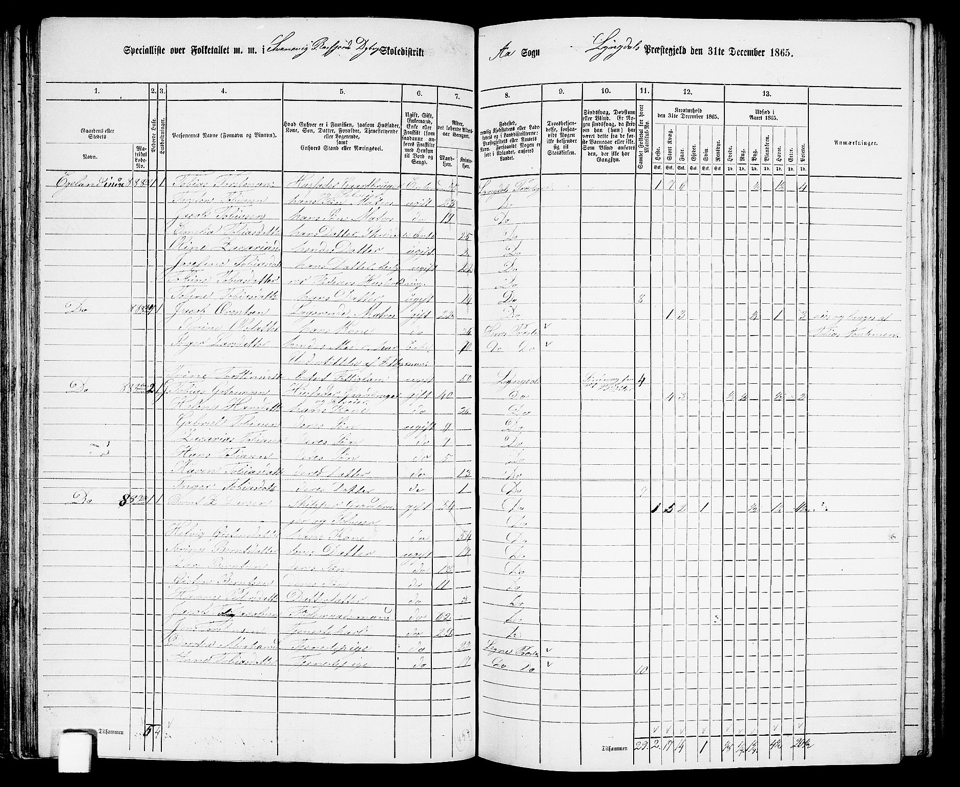 RA, 1865 census for Lyngdal, 1865, p. 100