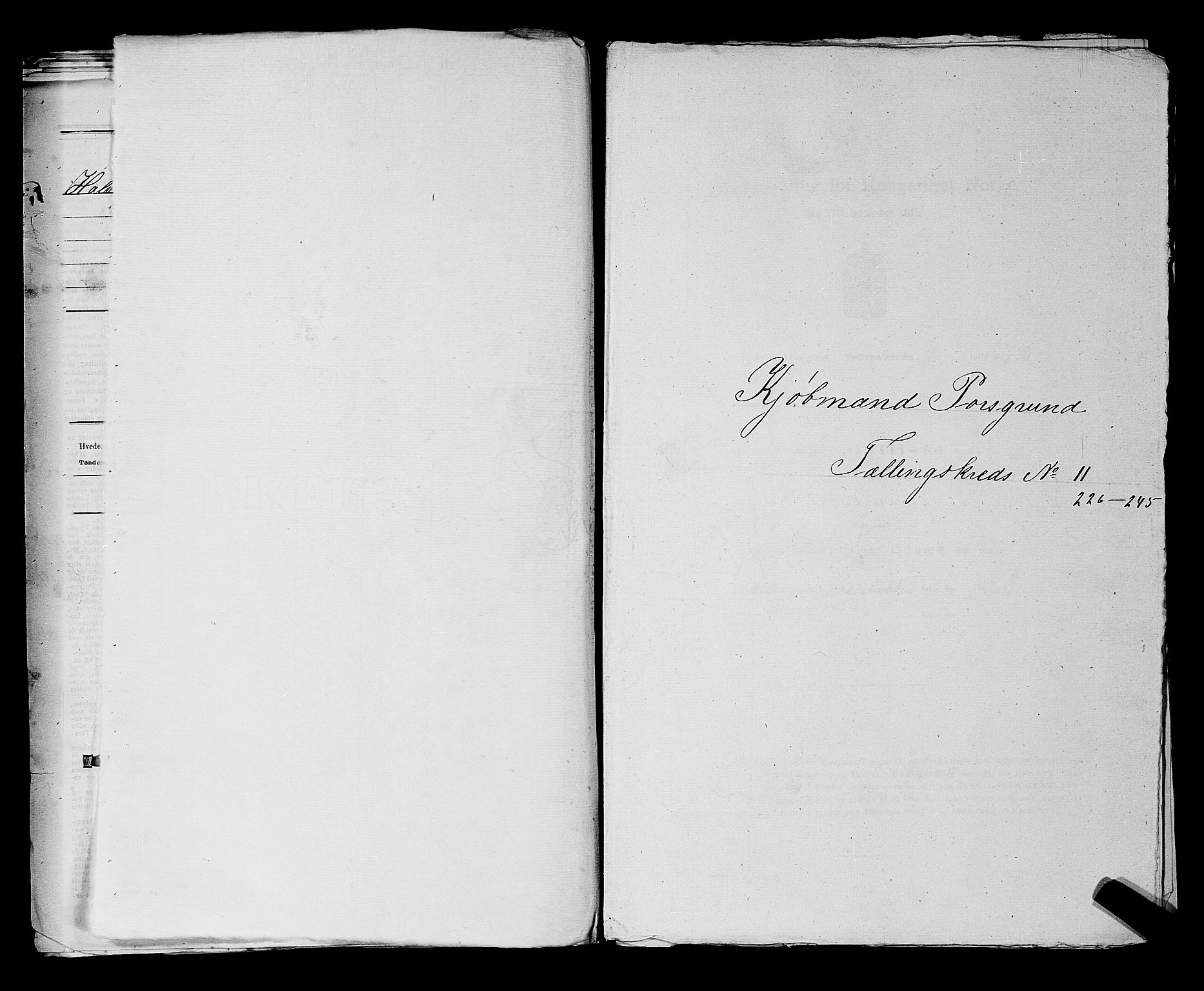SAKO, 1875 census for 0805P Porsgrunn, 1875, p. 521